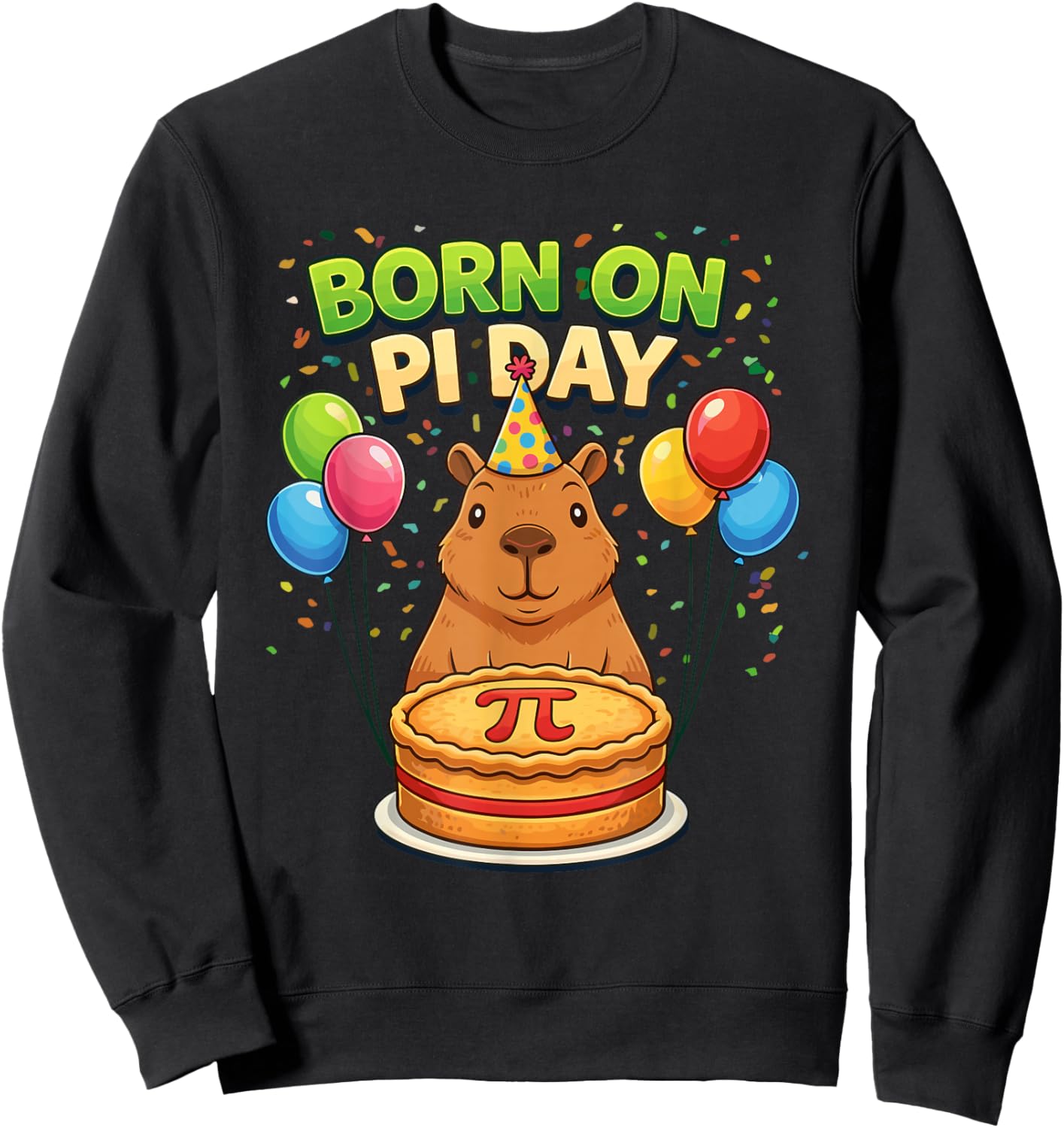 Born on Pi Day 3.14 Birthday Capybara Sweatshirt - Sweatshirt | Black