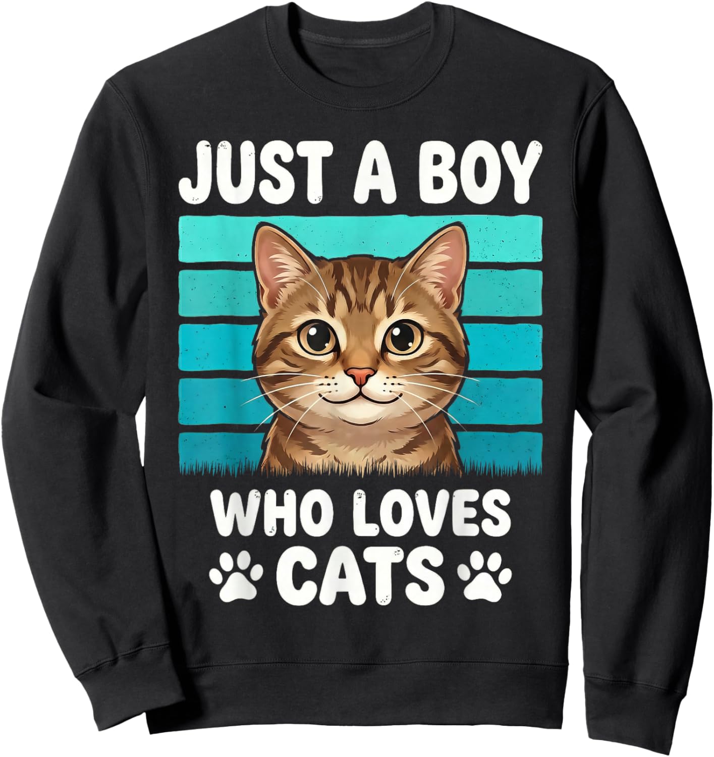 Just a Boy Who Loves Cats Funny Cat Lover Kids Boys Sweatshirt - Sweatshirt | Black