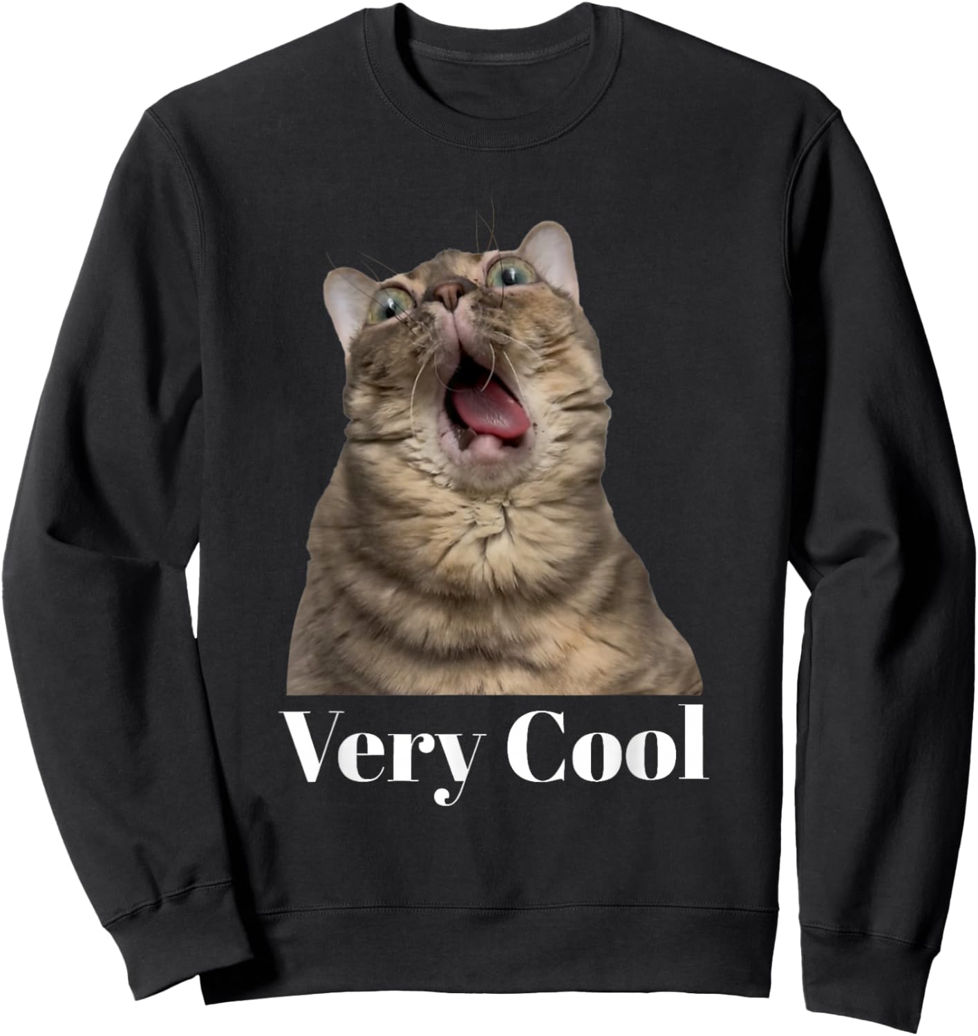 Gumbus Very Cool Funny Brainrot Cat Dank Meme Gen Z Sweatshirt - Sweatshirt | Black