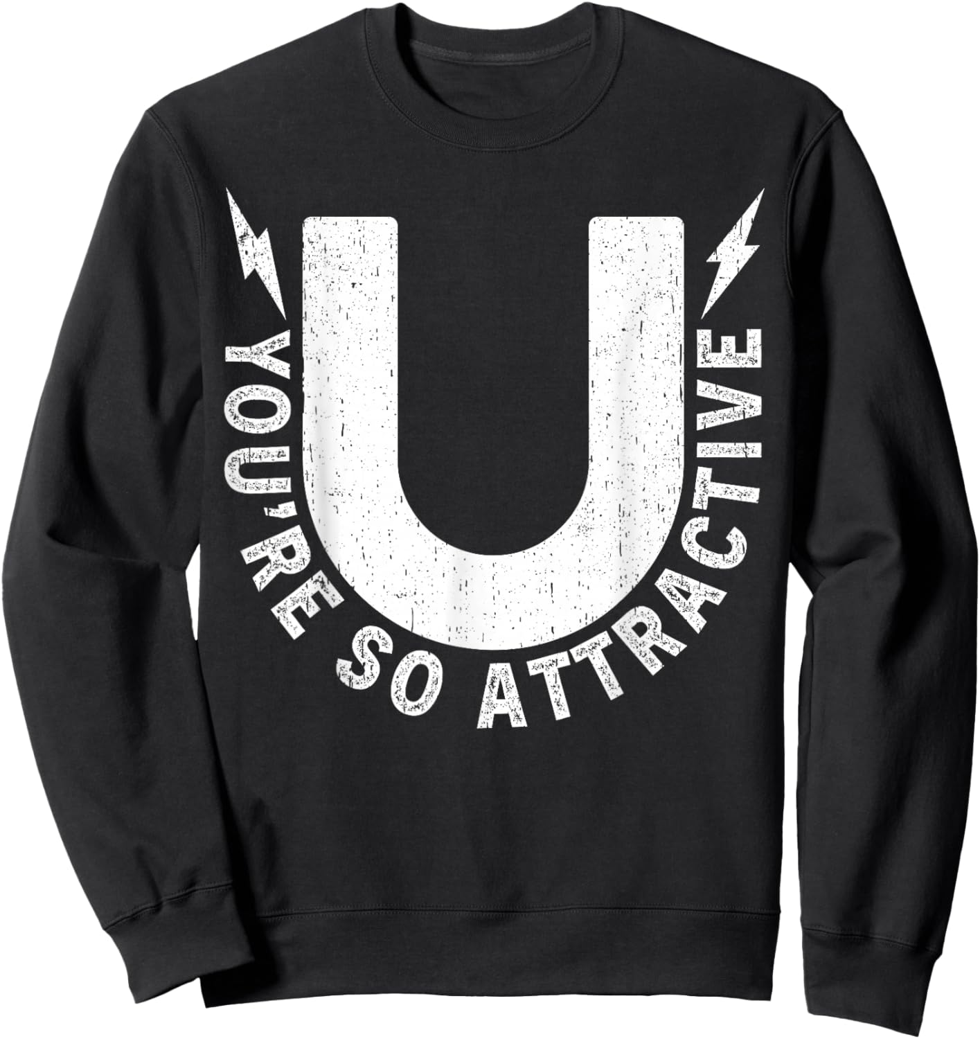 Youre So Attractive Magnet Physics Nerd Humor Sweatshirt - Sweatshirt | Black