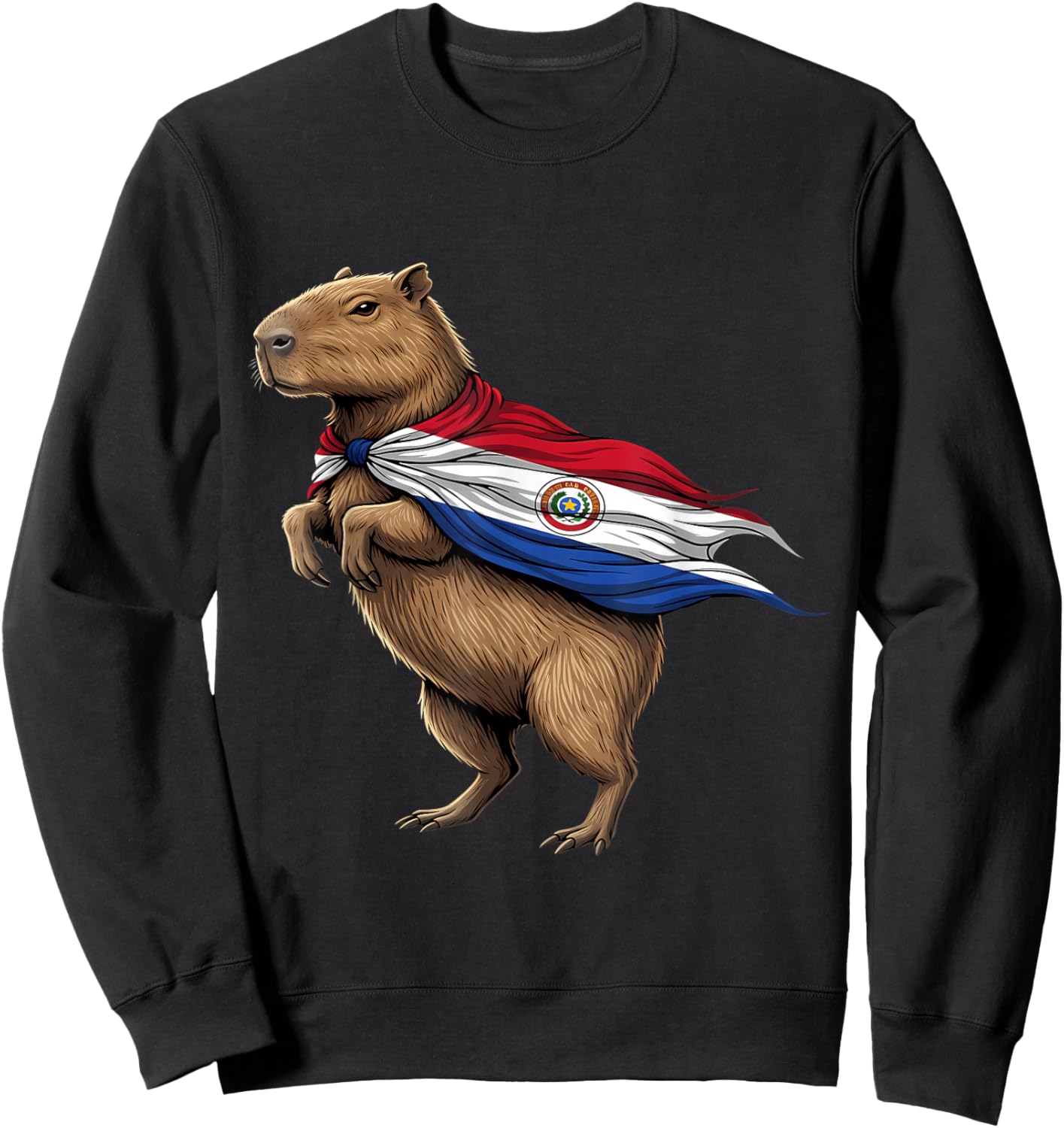 Paraguay Flag Capybara Paraguayan Pride Sweatshirt - Sweatshirt | Black