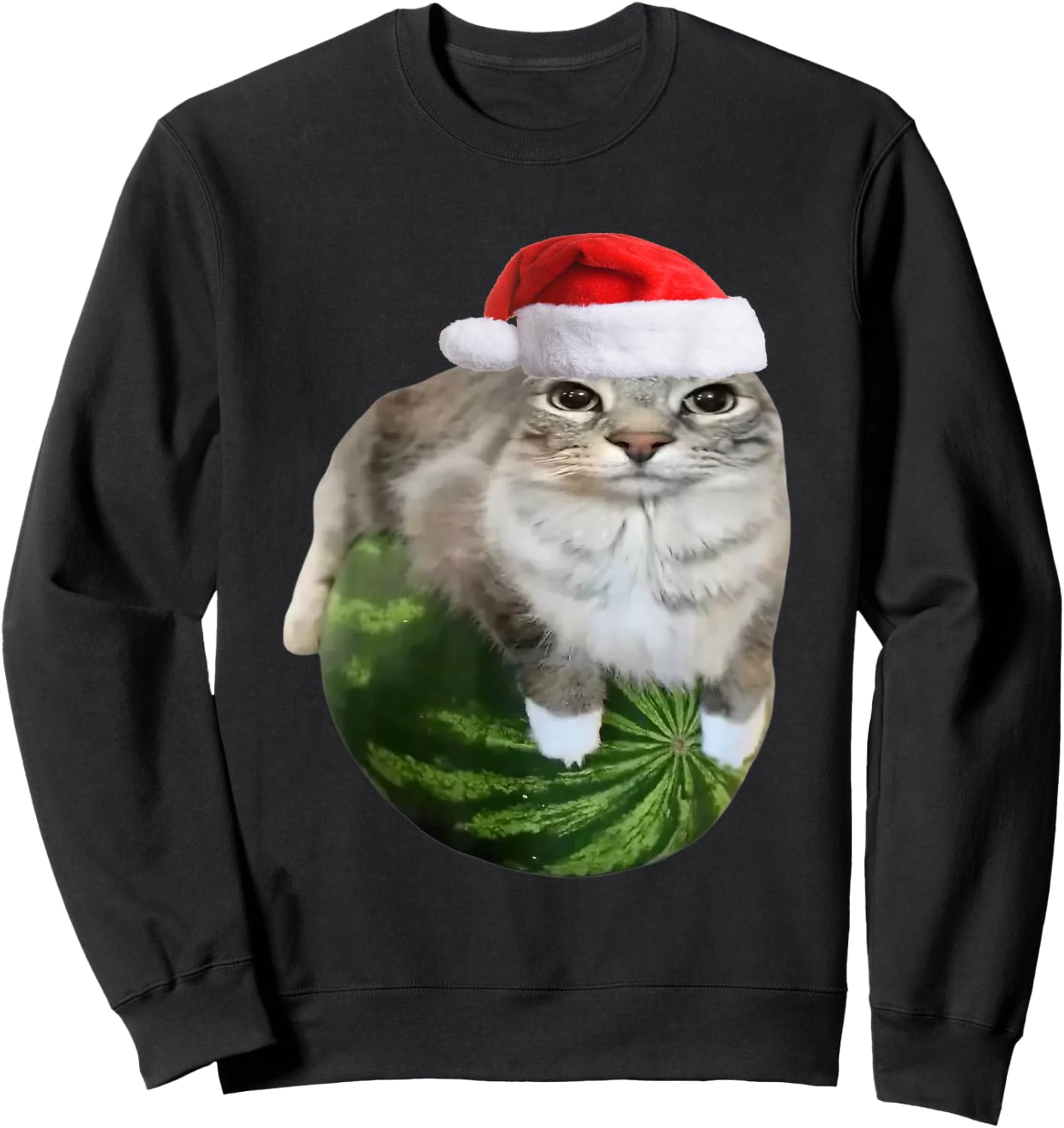 Watermelon Cat Christmas Santa Hat Funny Meme Sweatshirt - Sweatshirt | Black
