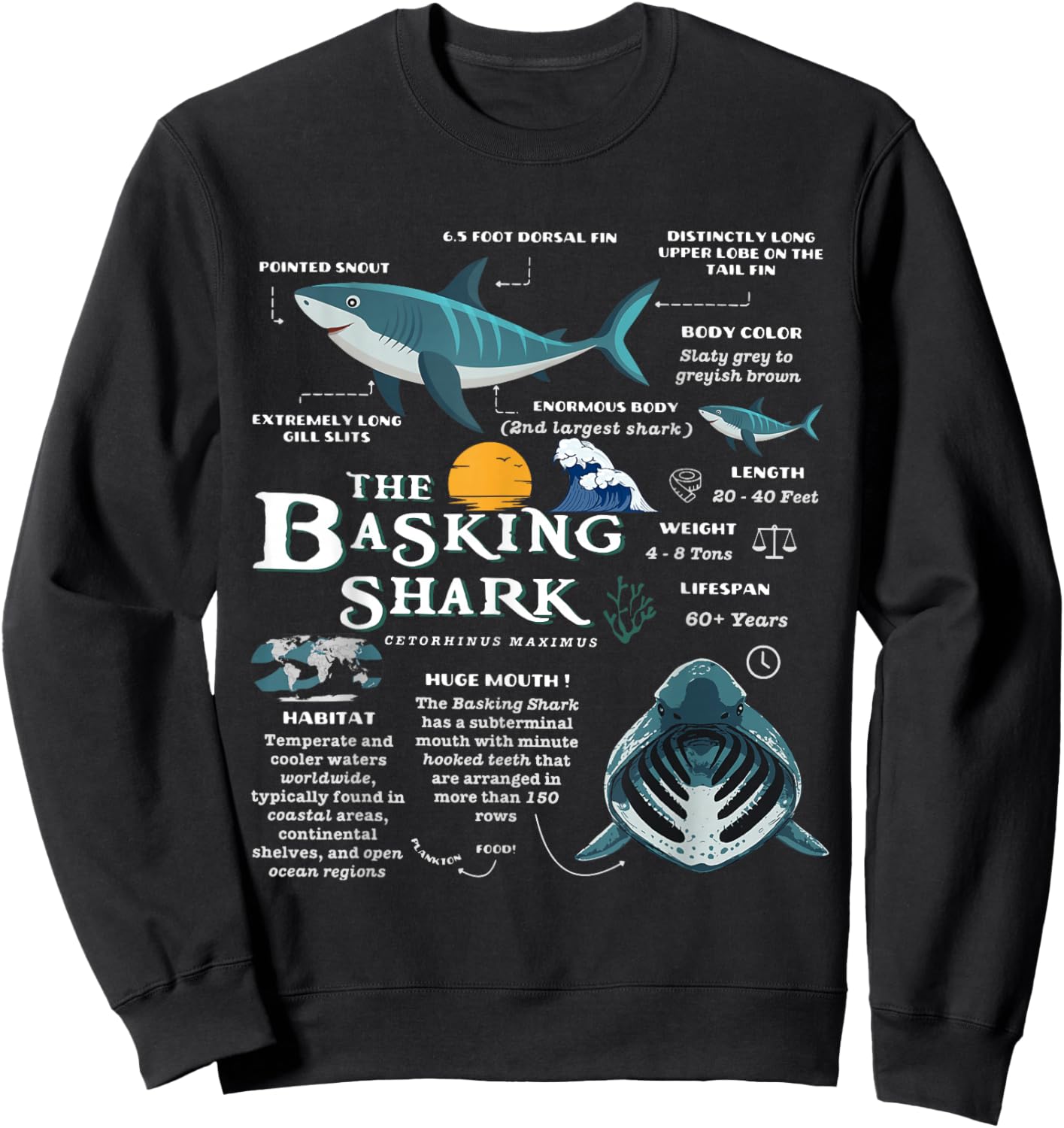 Basking Shark Anatomy Retro Wildlife Oceancore Animal Sweatshirt - Sweatshirt | Black