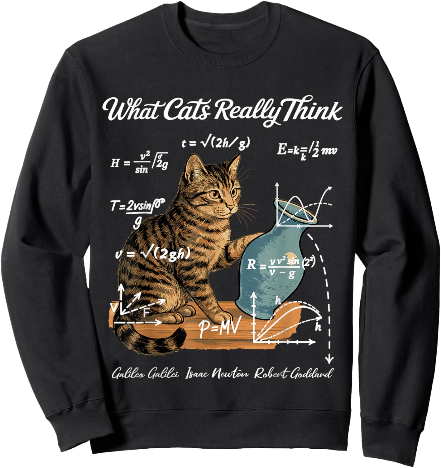 Funny Cat Physics Humor Design What Cats Really Think Sweatshirt - Sweatshirt | Black