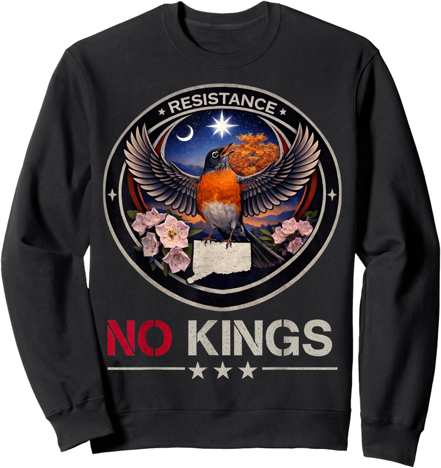 Connecticut CT Rebel Bird Alliance Resistance No Kings 2026 Sweatshirt - Sweatshirt | Black