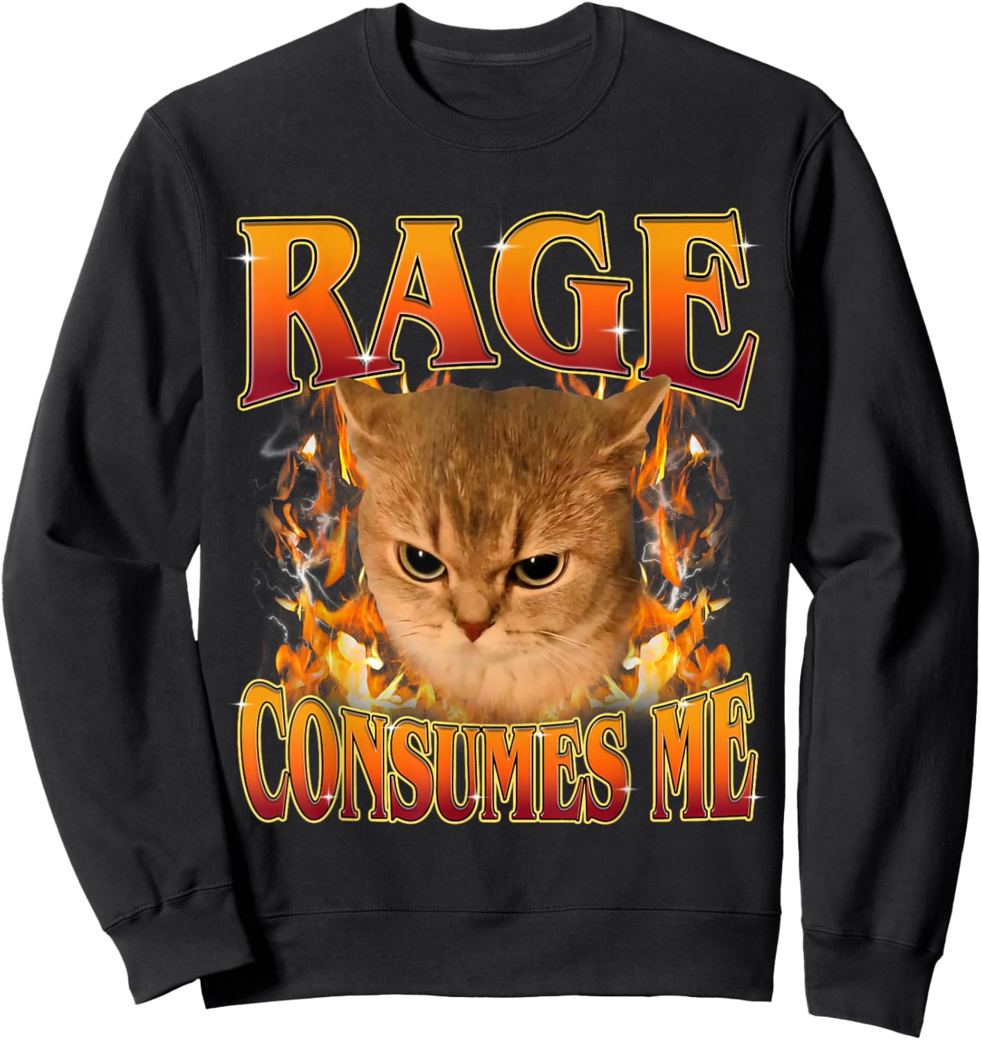 Rage Consumes Me Funny Silly Y2K Cat Meme Women Men Sweatshirt - Sweatshirt | Black