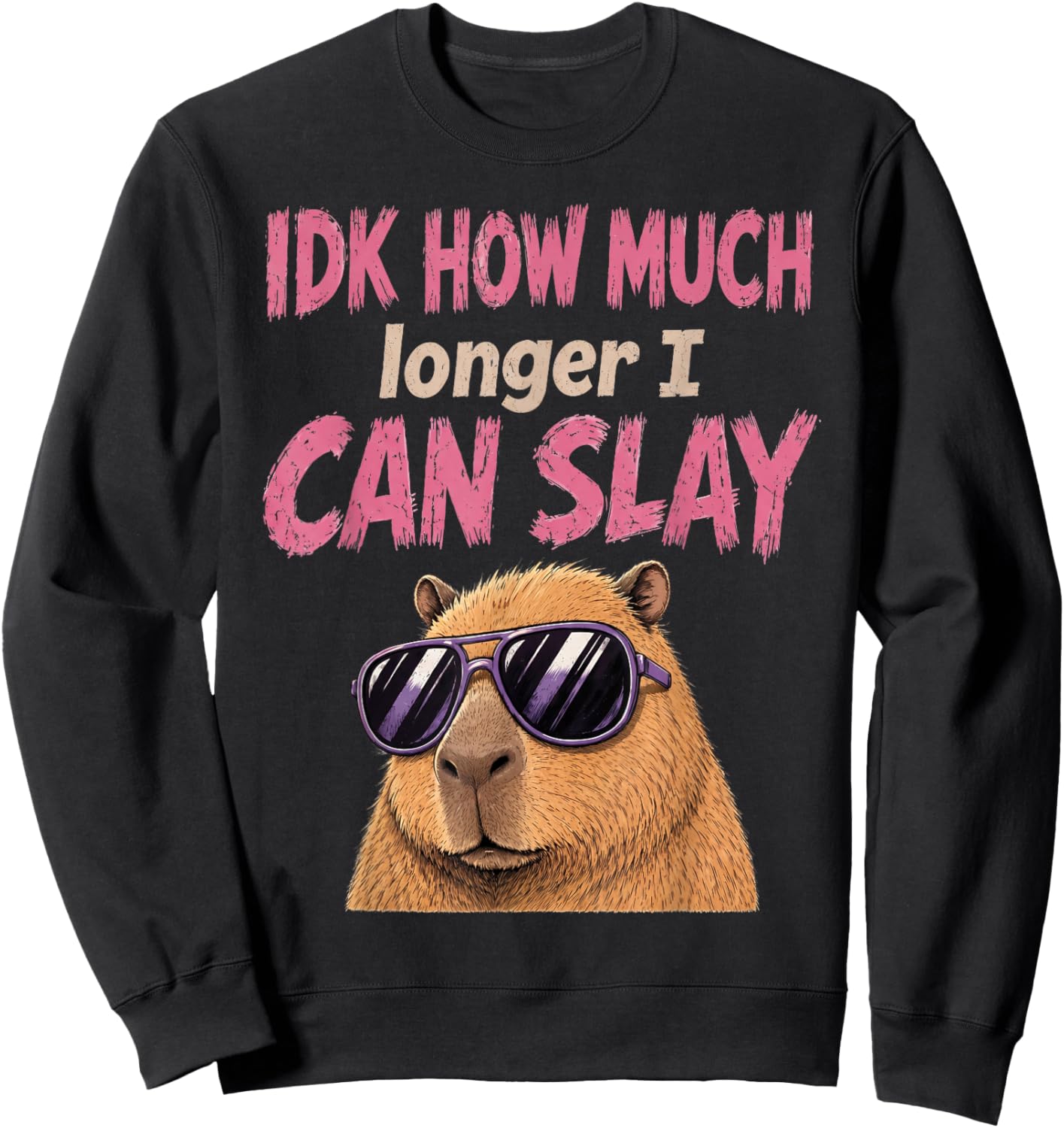 Meme Capybara IDK How Much Longer I Can Slay Teens Funny Sweatshirt - Sweatshirt | Black