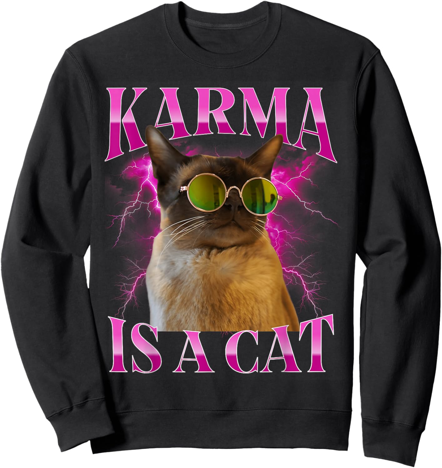 Karma is A Cat, Funny Cat Lovers Design Sweatshirt - Sweatshirt | Black