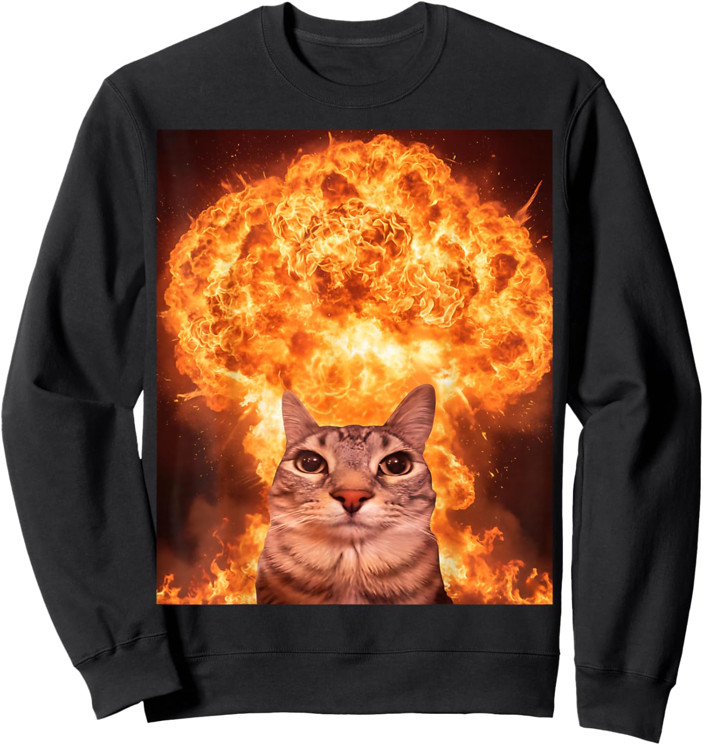 Funny Cat Meme Boys Girls Kids Women Men Teens Silly Graphic Sweatshirt - Sweatshirt | Black