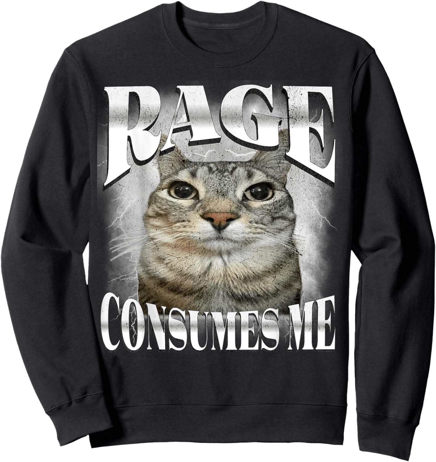 Rage Consumes Me Funny Silly Staring Cat Meme Women Men Sweatshirt - Sweatshirt | Black