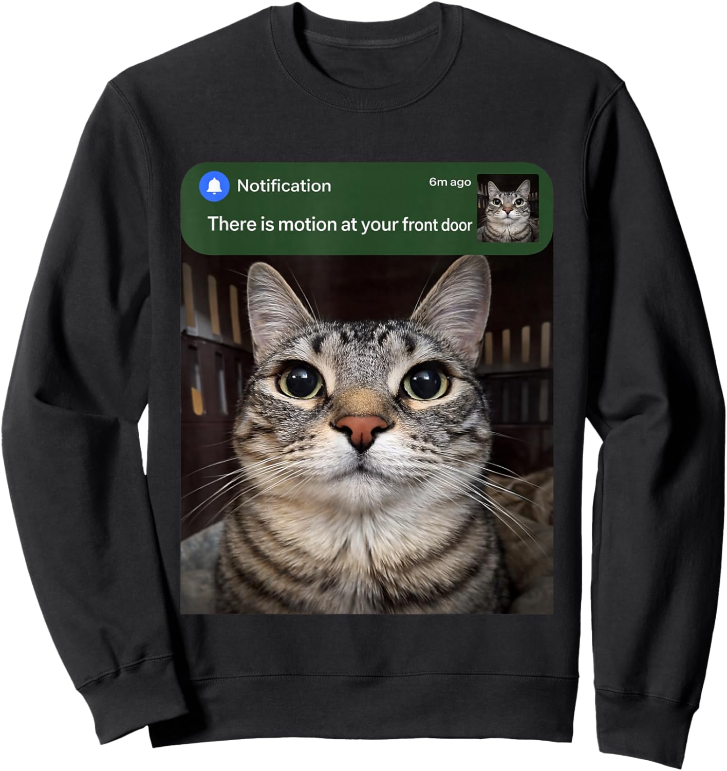 There is Motion At Your Front Door Funny Cat Motion Meme Sweatshirt - Sweatshirt | Black