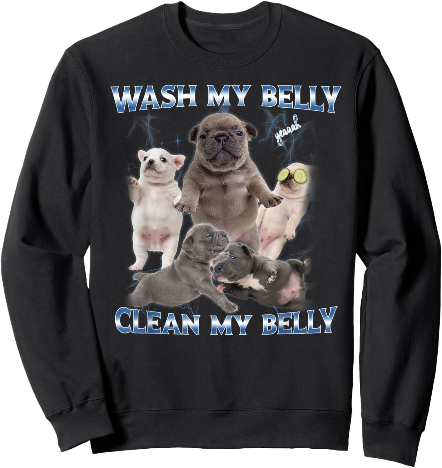 Pibble Dog Wash Clean My Belly Funny Meme Sweatshirt - Sweatshirt | Black