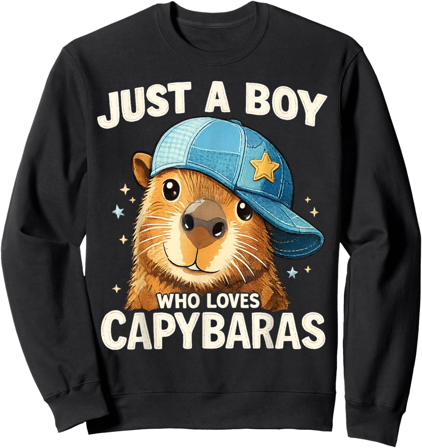 Just A Boy Who Loves Capybaras Funny Capybara Boys Sweatshirt - Sweatshirt | Black