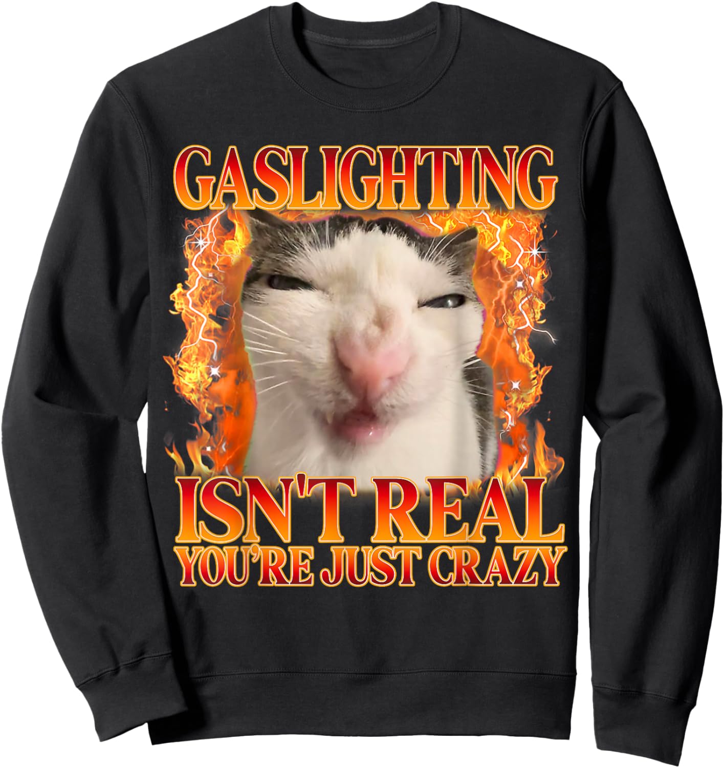 Funny Cat Meme Gaslighting Isn't Real You're Just Crazy Sweatshirt - Sweatshirt | Black