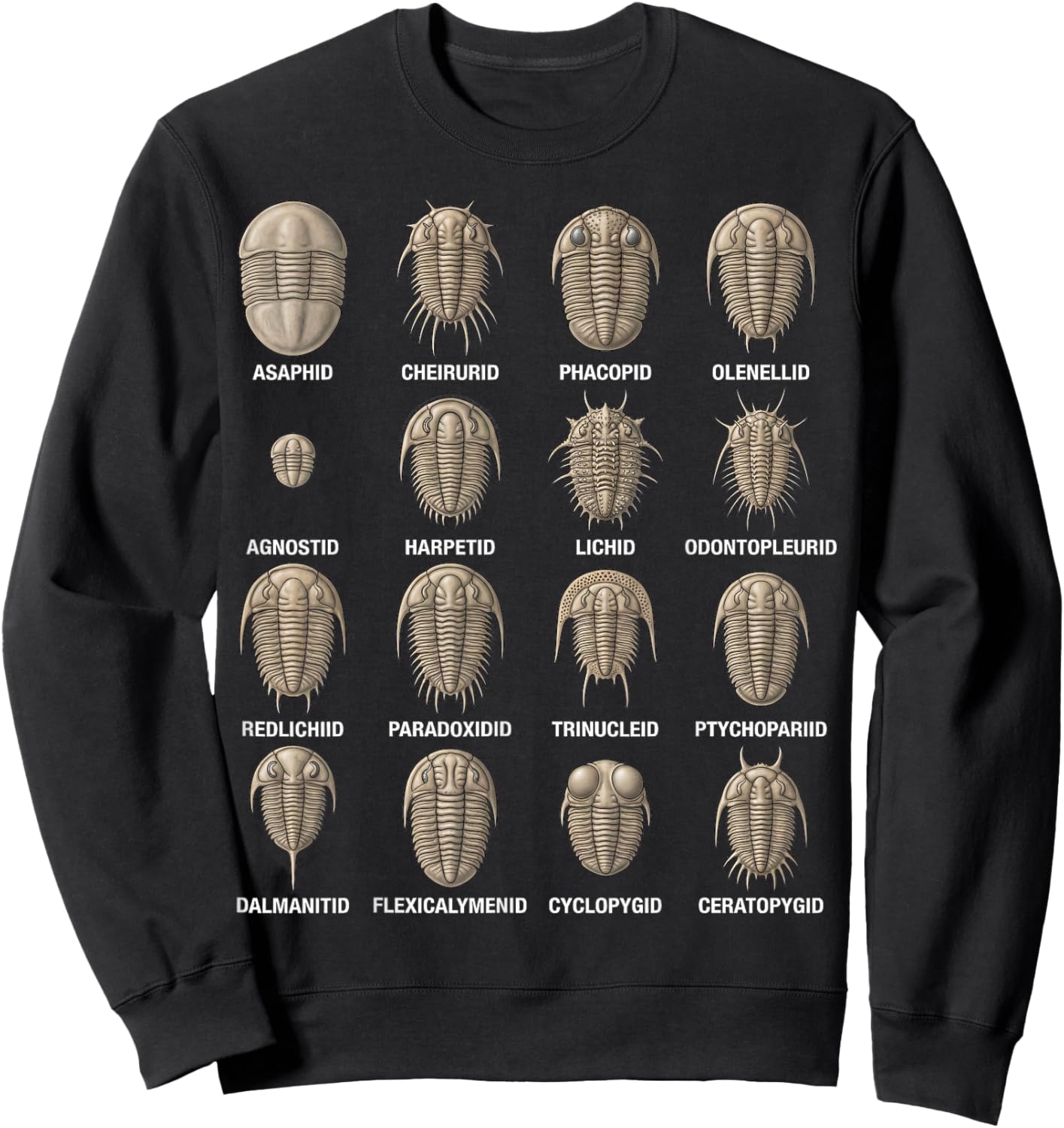 Trilobite Families Chart Paleontology Science Fossil Lovers Sweatshirt - Sweatshirt | Black