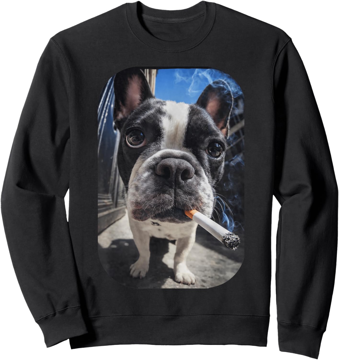 Funny Smoking Boston Terrier Dog Meme Gen Z Cigarette Sweatshirt - Sweatshirt | Black