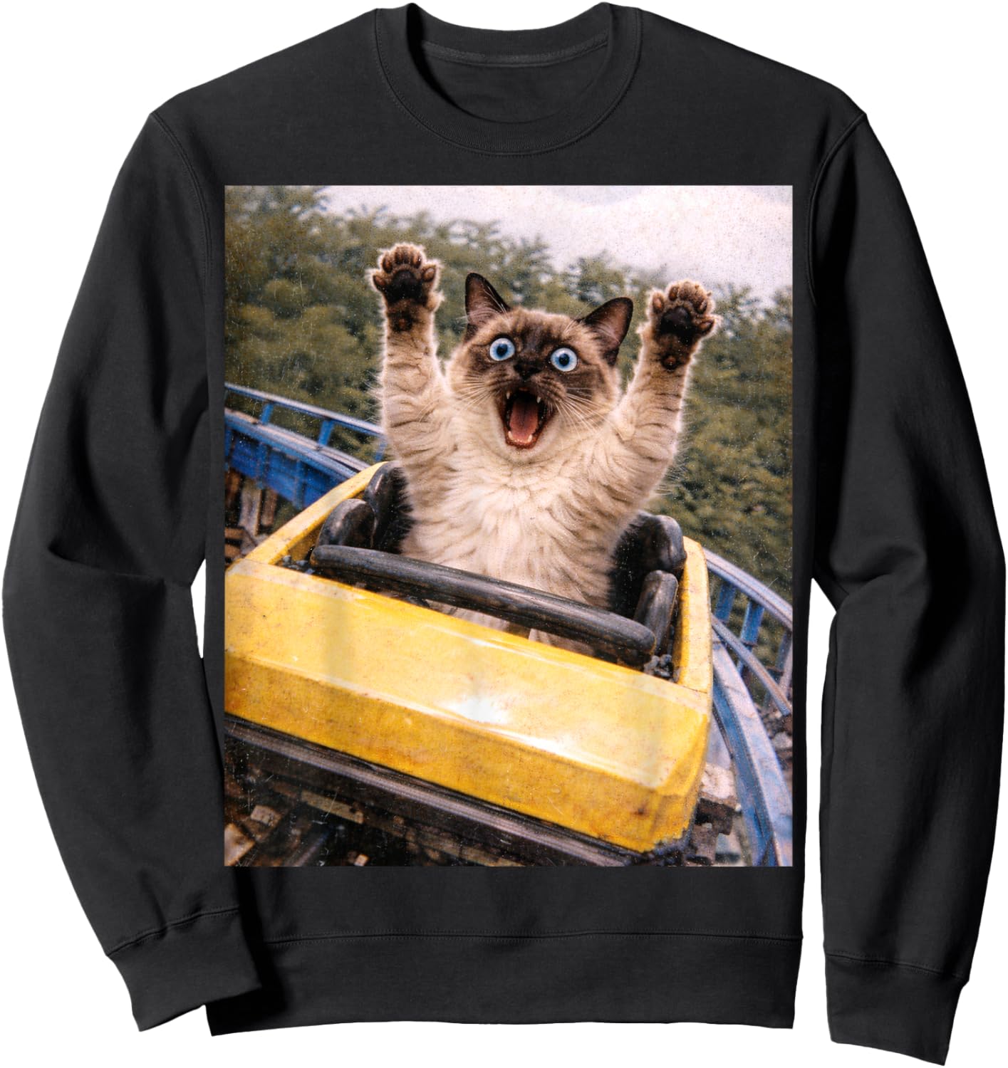 Funny Cat Roller Coaster Silly Meme Graphic Siamese Cat Sweatshirt - Sweatshirt | Black