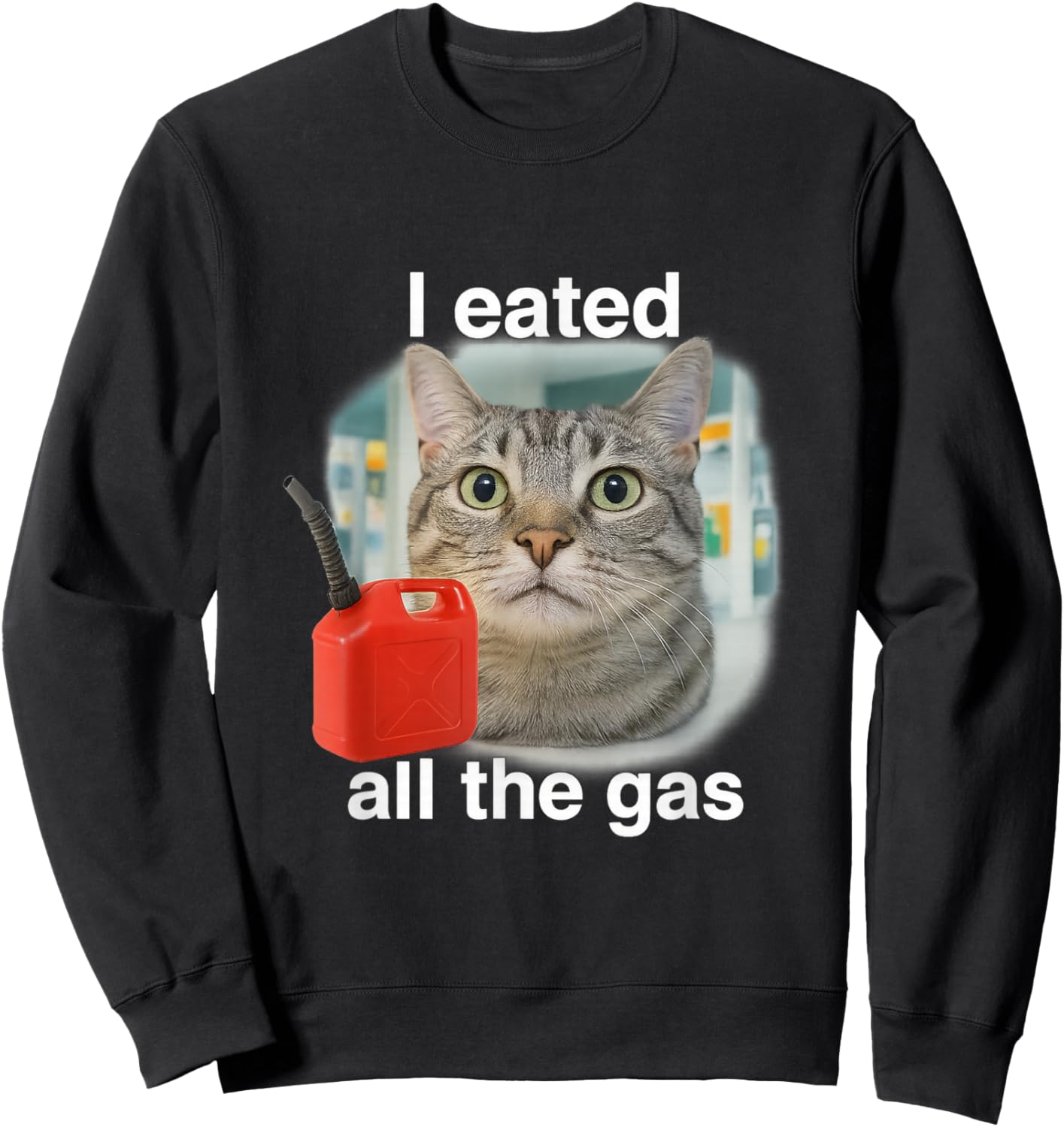 I Eated Wanted All The Gas Funny Unhinged Cat Humor Gen Z Sweatshirt - Sweatshirt | Black