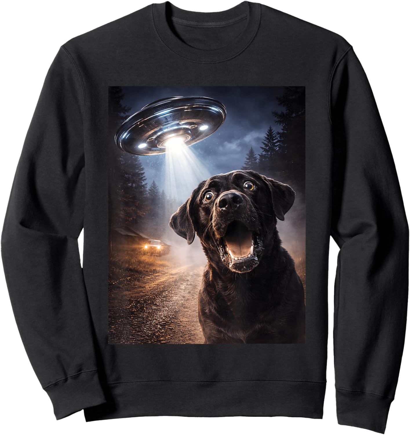 Space Scene Sweatshirt - Sweatshirt | Black