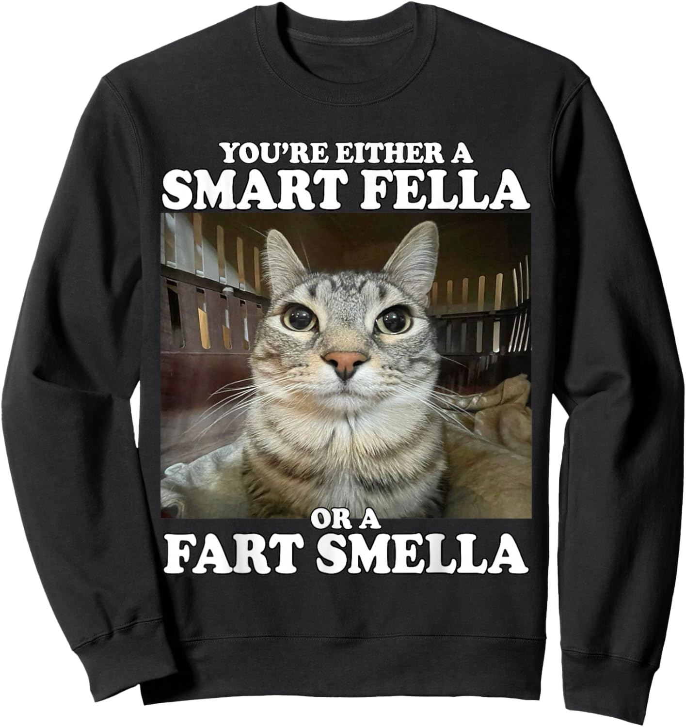 You're Either A Smart Fella Or A Fart Smella Funny Cat Meme Sweatshirt - Sweatshirt | Black