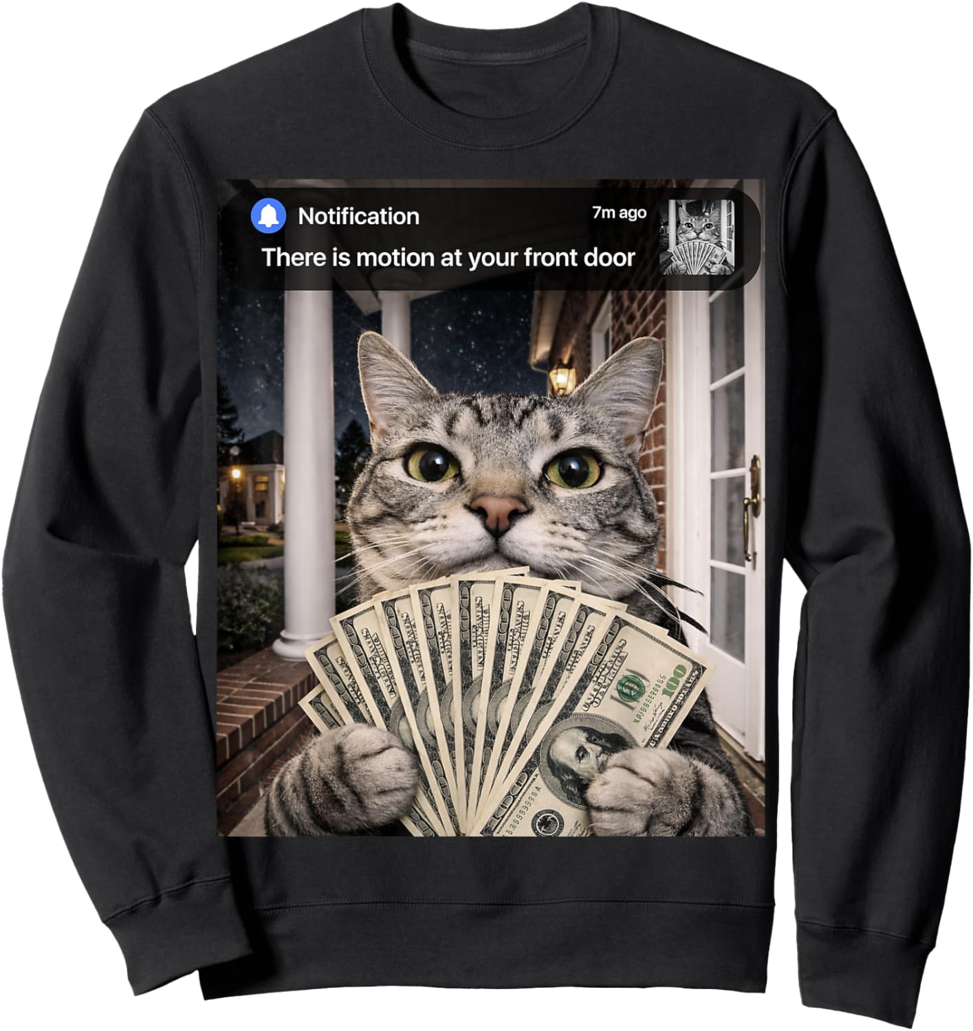 There is Motion at Your Front Door Funny Cat Motion Meme Sweatshirt - Sweatshirt | Black