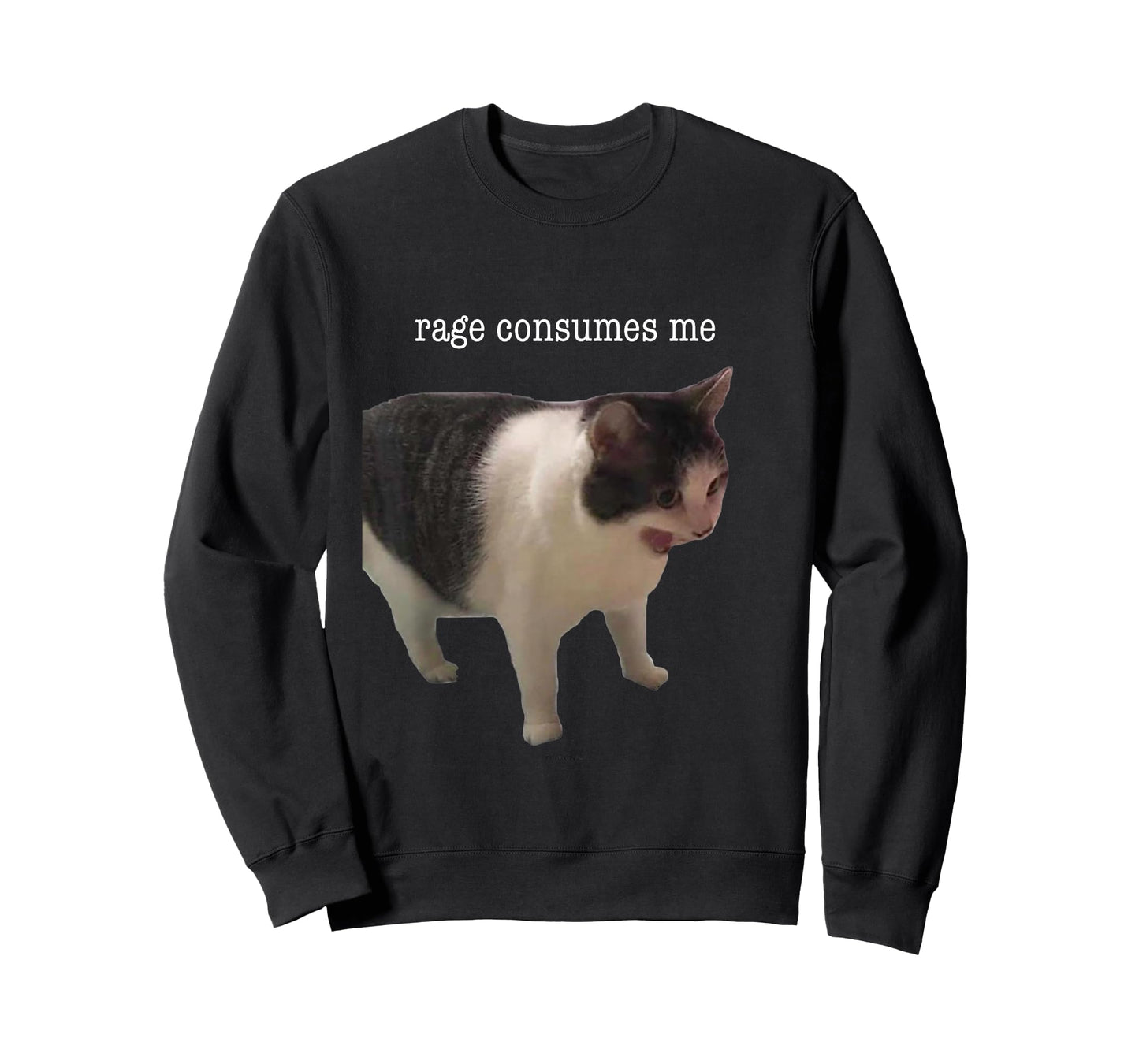 Rage Consumes Me Funny Cat Meme Men Women T-Shirt