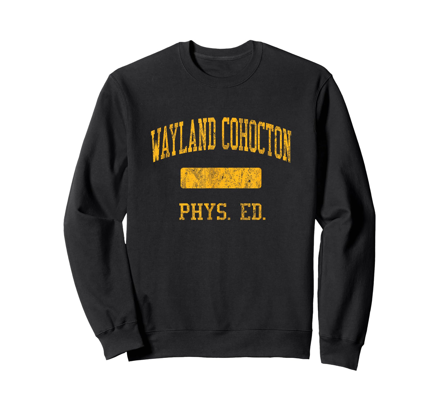 Wayland Cohocton High School HS Wayland NY PHYS Ed T-Shirt