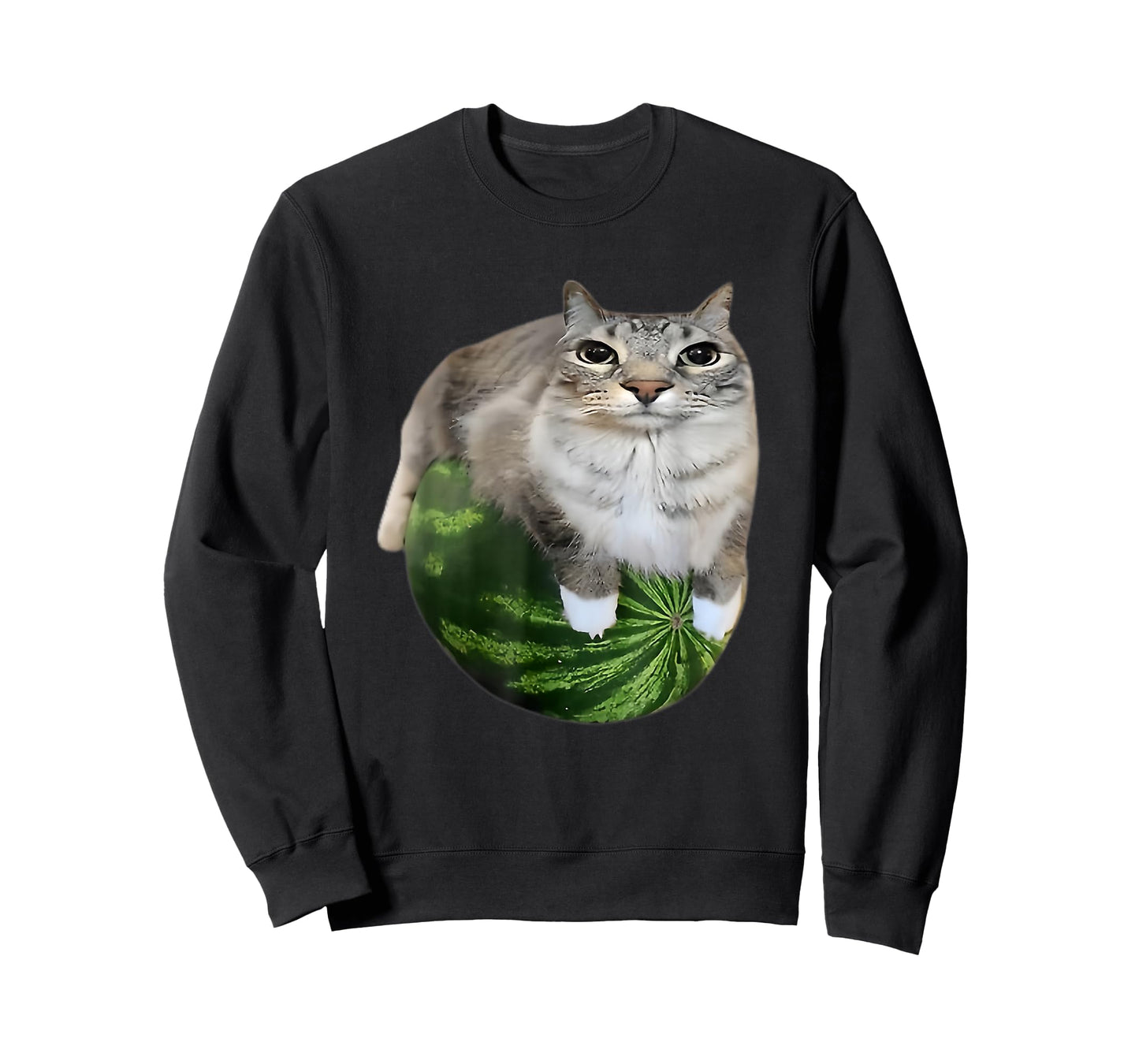 Funny Watermelon Cat Silly Meme T-Shirt
