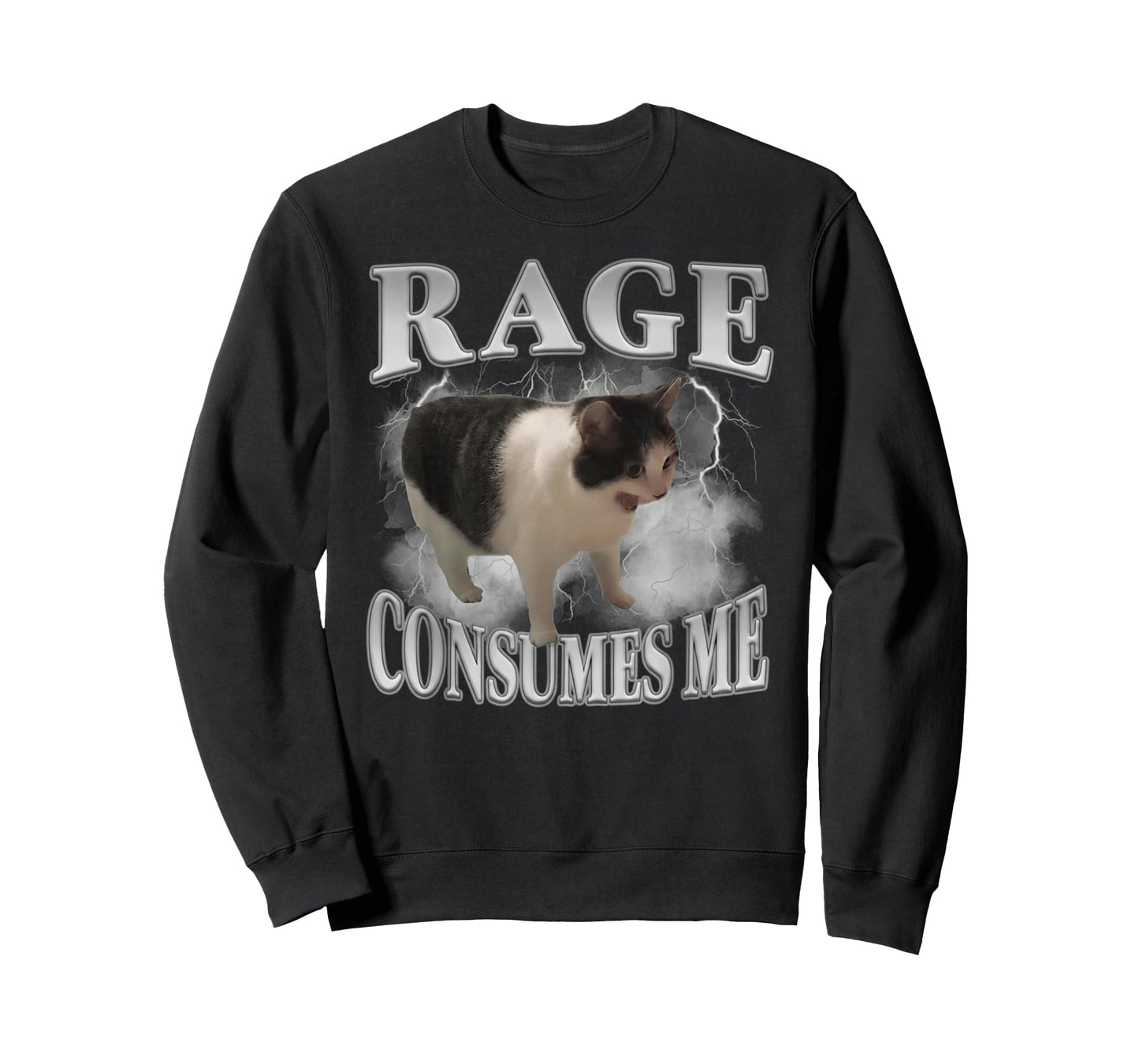 Rage Consumes Me Funny Cat Meme Men Women Novelty T-Shirt