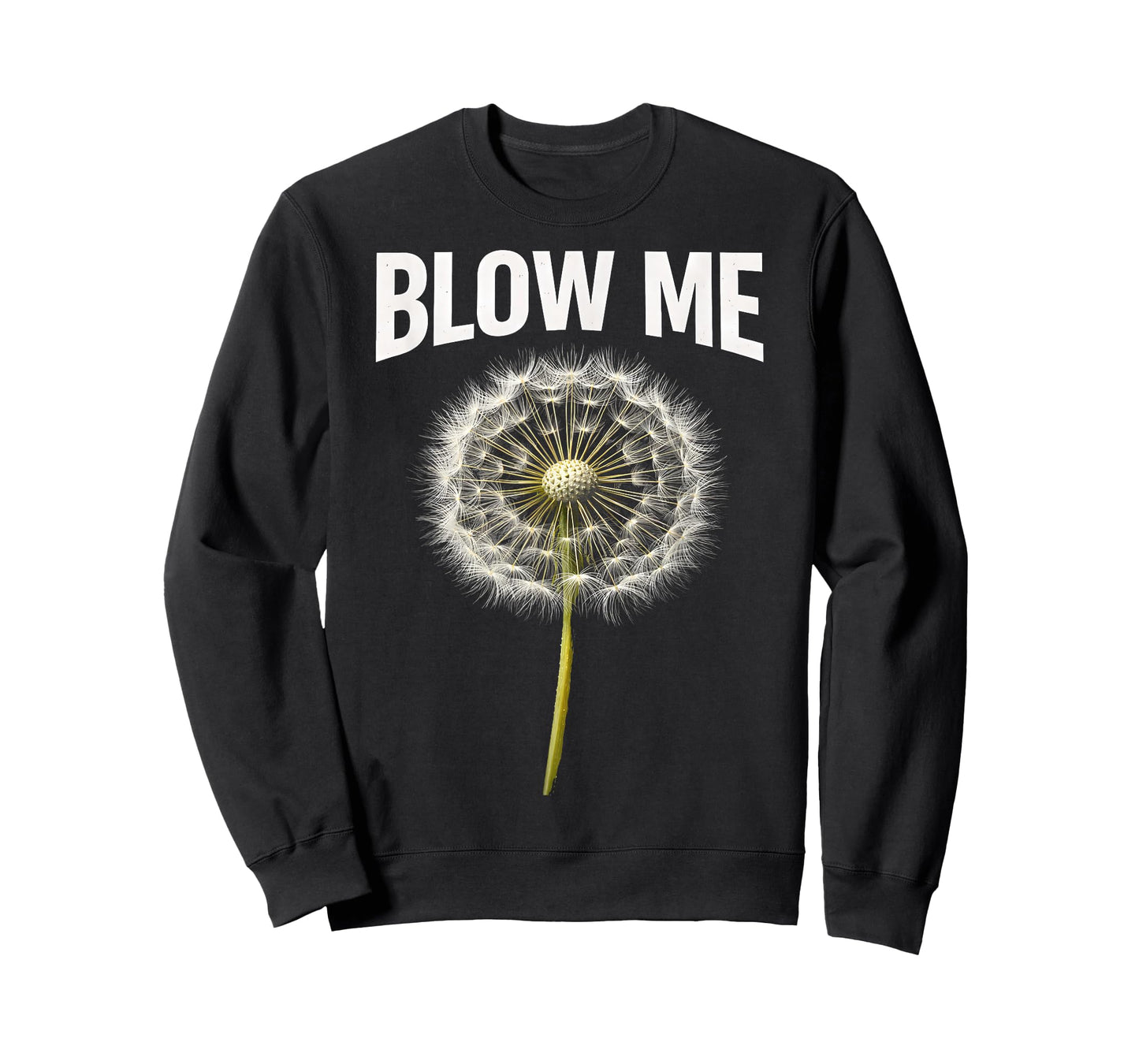 Funny Dandelion Flower Sarcastic Humor Quote Vintage Blow Me T-Shirt