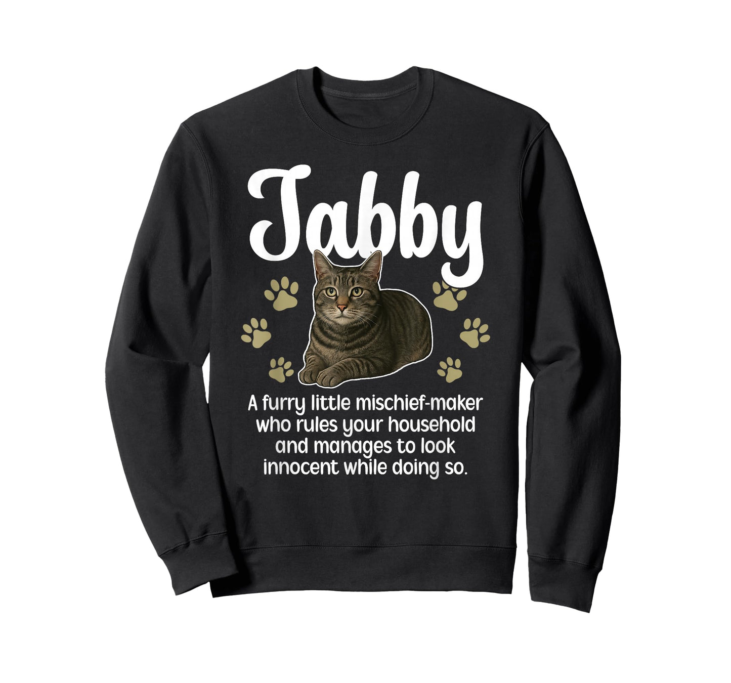 Funny Gray Tabby Cat Owner Grey Tabby Cat Lover T-Shirt