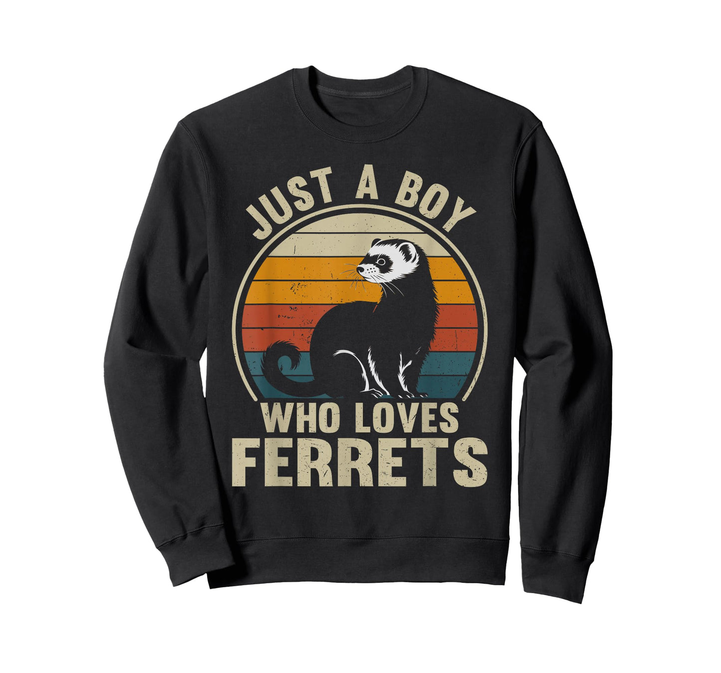 Just A Boy Who Loves Ferrets Recto Ferret Lover T-Shirt