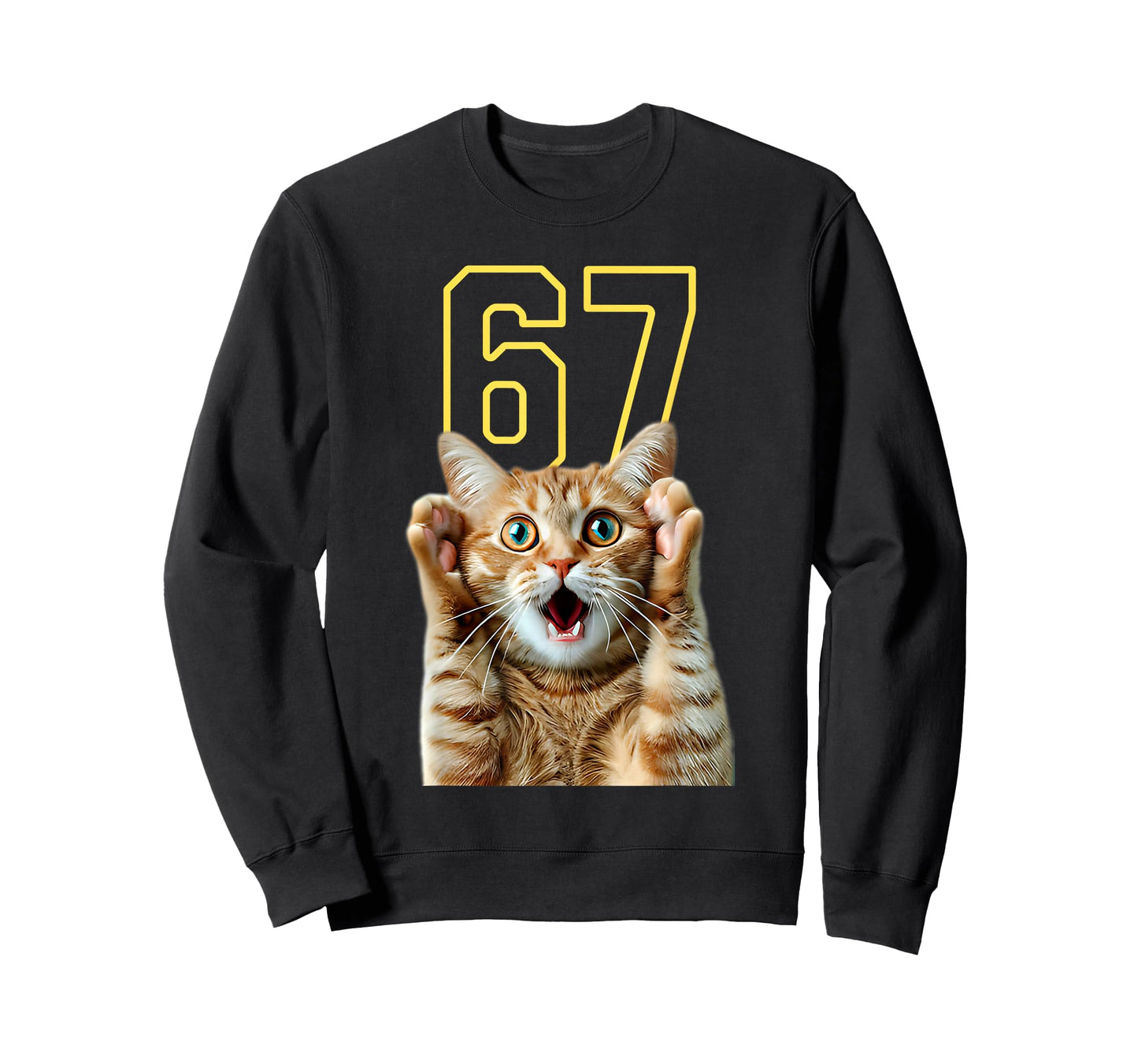 67 Cat Six Seven Funny Meme 6 7 T-Shirt
