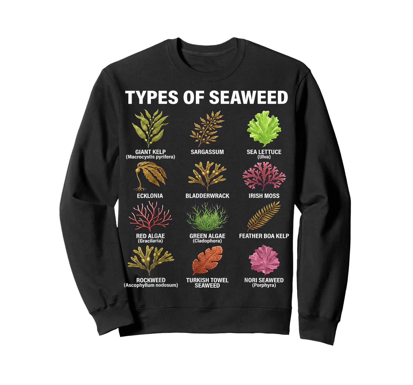 Types of Seaweed, Seaweed Species Chart, Marine Algae Types T-Shirt