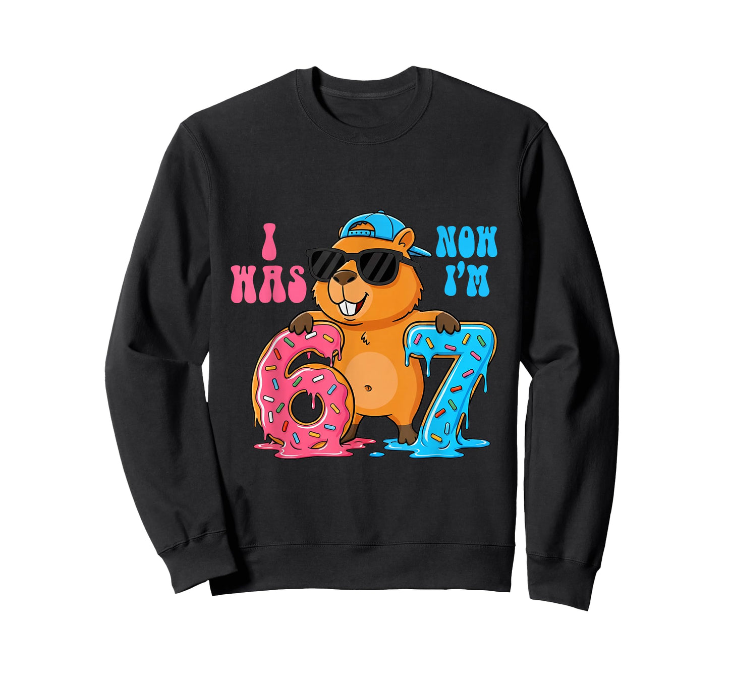 I was Six Now I'm Seven 6 7 Capybara 67 Meme 7th Birthday T-Shirt