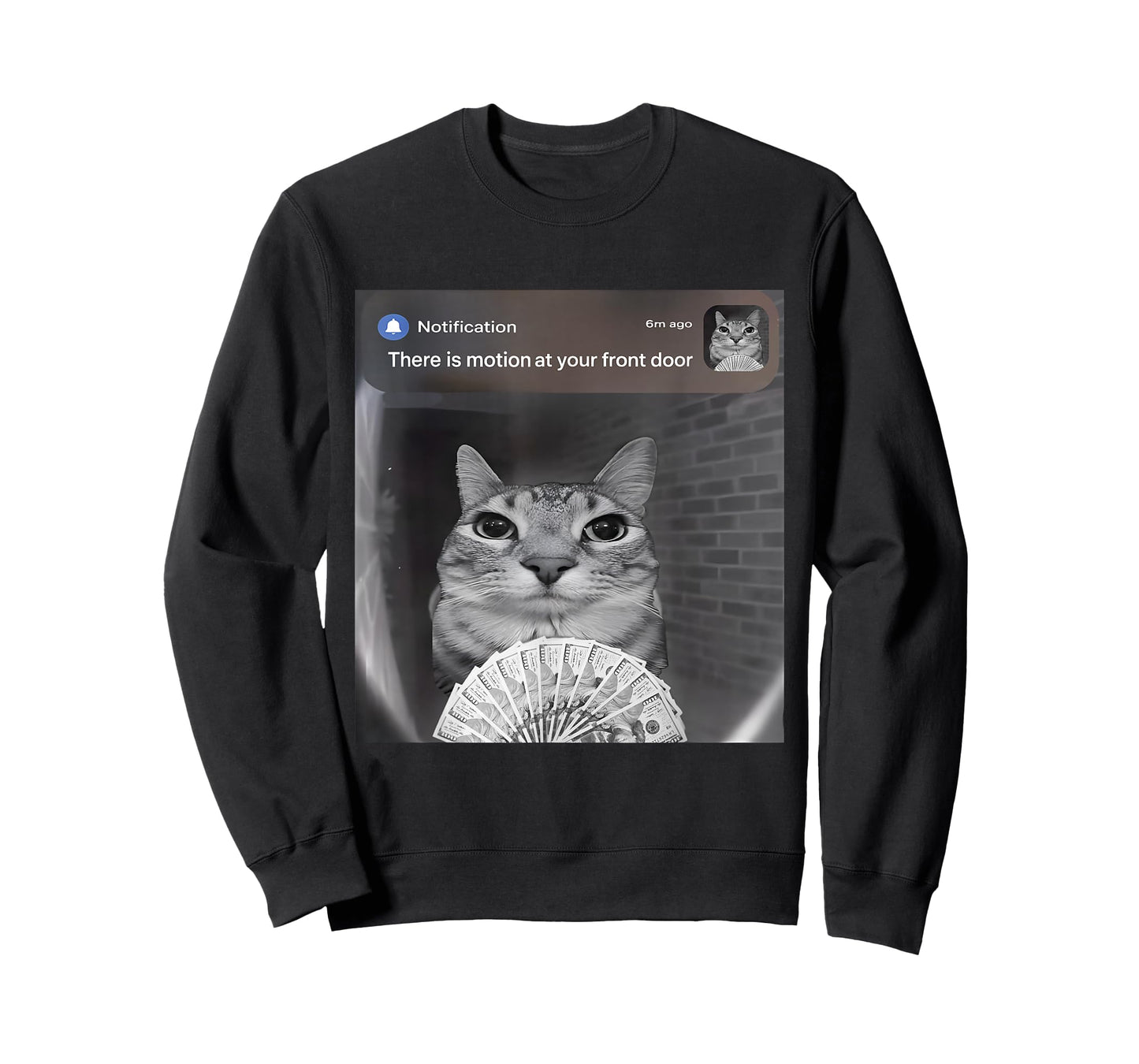 There is Motion at Your Front Door Funny Cat Motion Meme T-Shirt