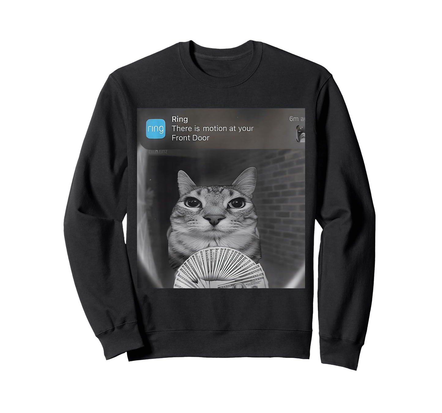 Ring Cat with Motion Funny Parody Cat Meme Silly Stupid Meme T-Shirt
