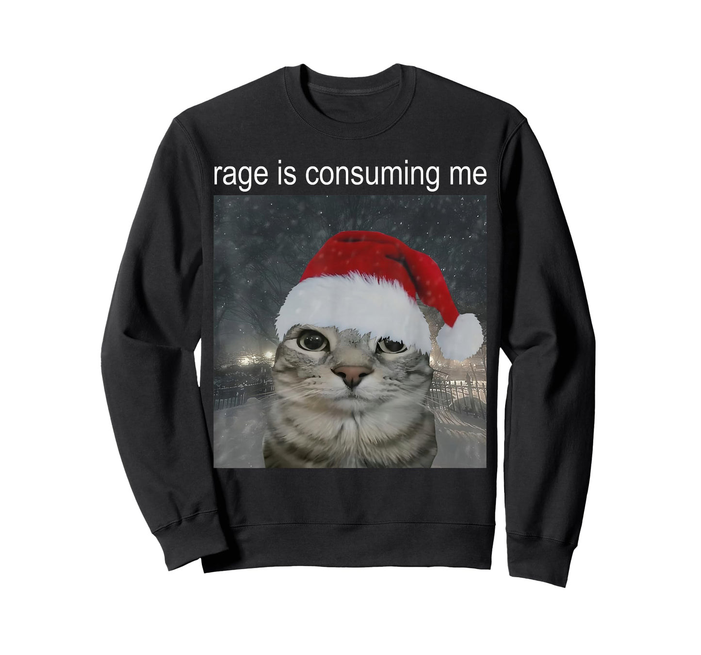 Rage Consumes Me Funny Christmas Cat Meme Women Men T-Shirt