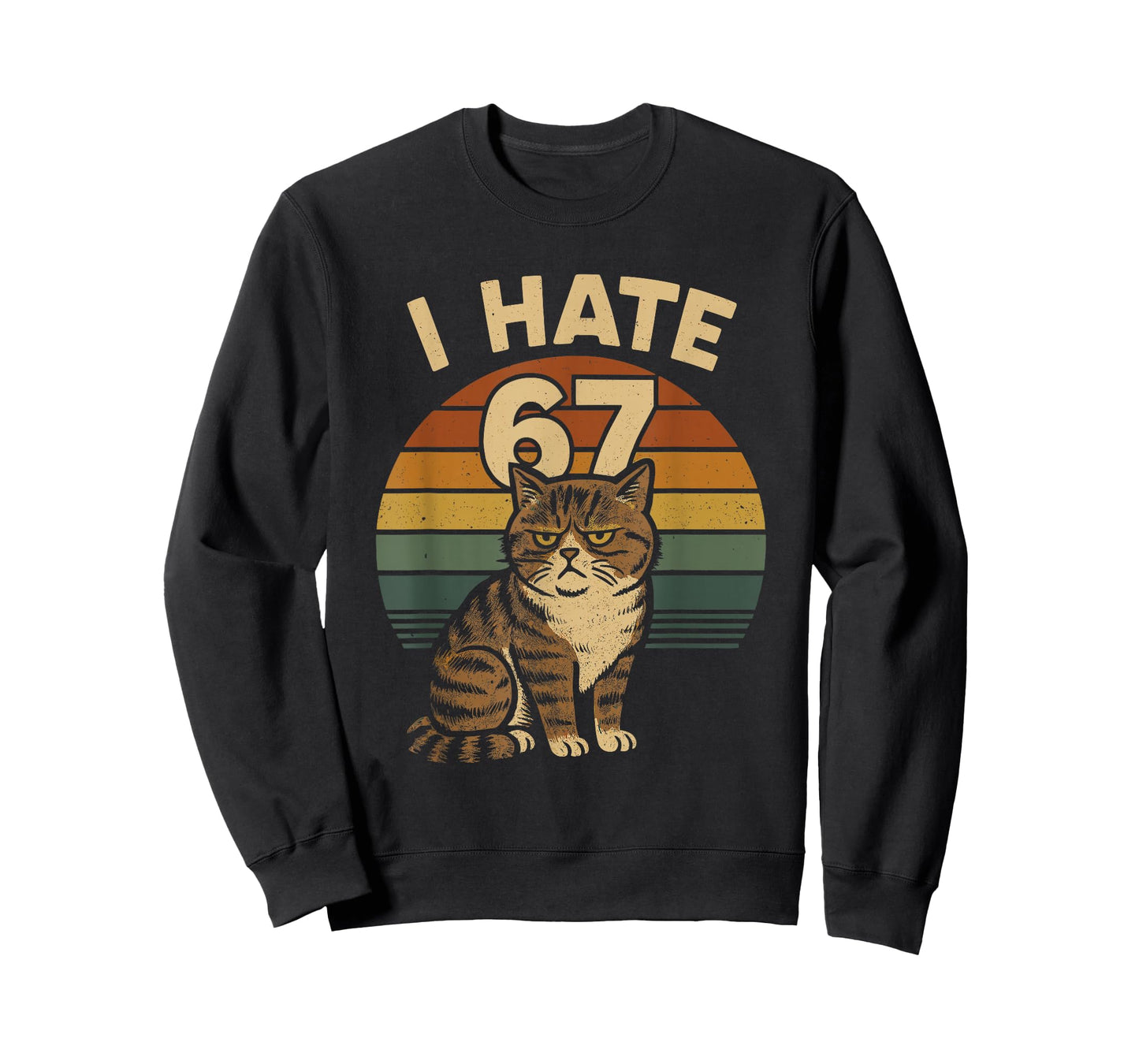 I Hate 67 Meme Cat Funny Internet Trend Humor Brainrot Youth T-Shirt