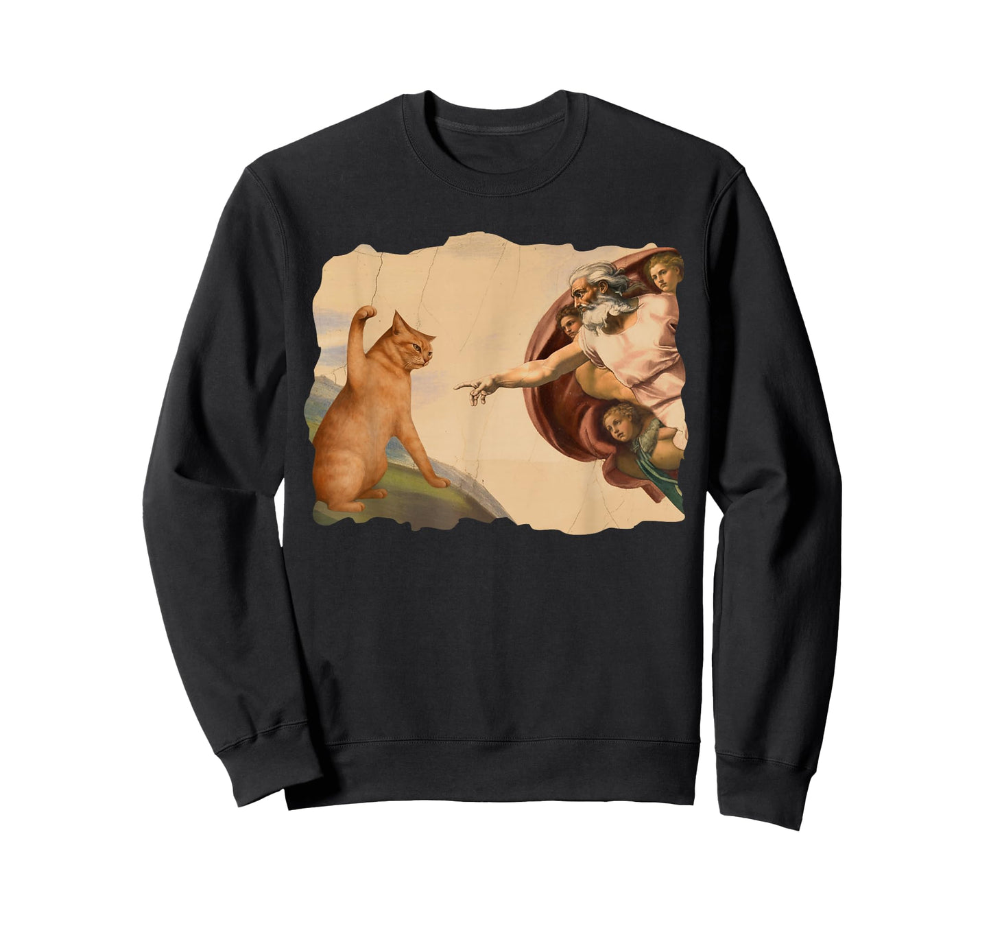 Funny Cat Swatting God's Hand Cat Shawncraft Cat Men Women T-Shirt