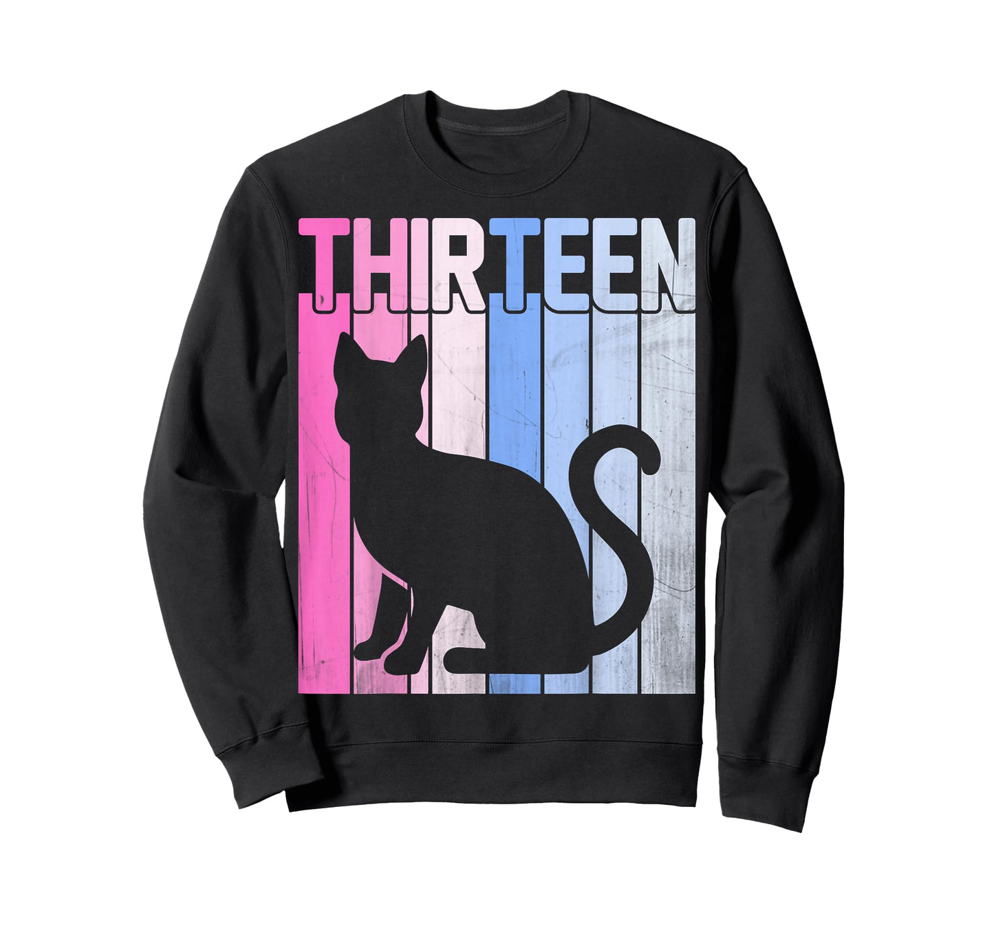 Cute Pet Cat Lover 13 Years Old Thirteen Birthday T-Shirt
