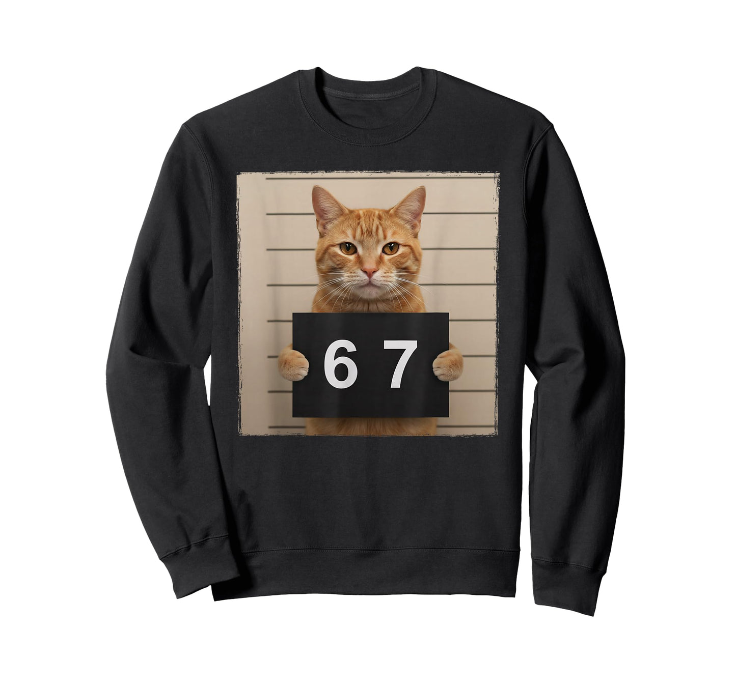 Funny Cat Mugshot Meme 67 Six Seven T-Shirt