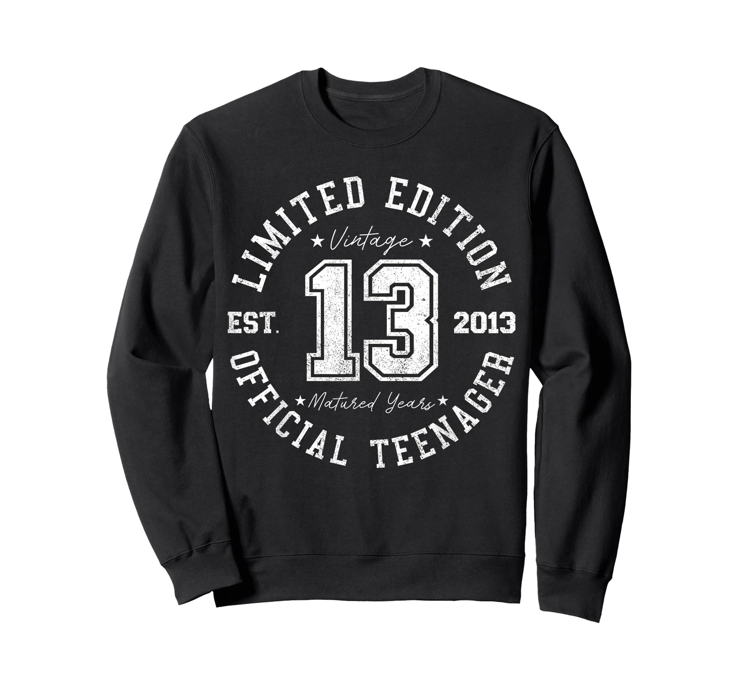 Official Teenager 13th Birthday 13 Years Old 2013 T-Shirt