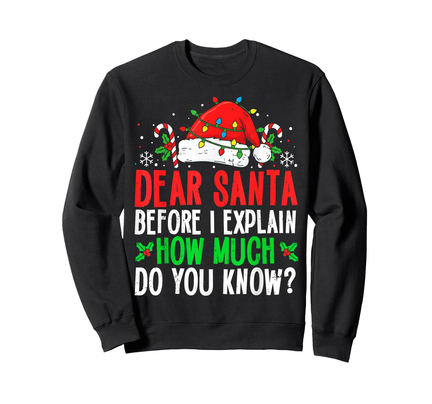 Funny Christmas Kids Adults Dear Santa I Can Explain T-Shirt