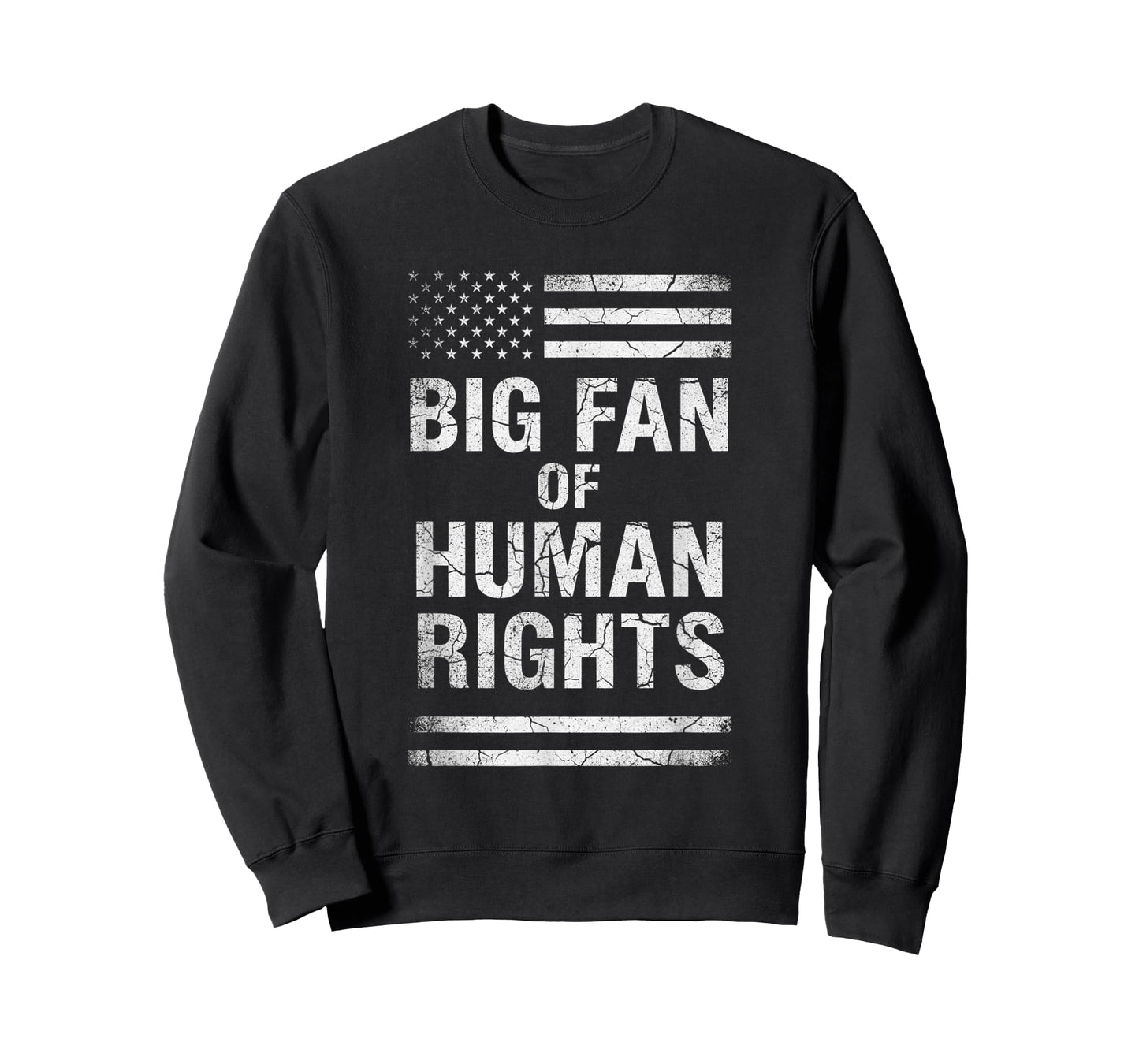 Big Fan of Human Rights Distressed American Flag Activist T-Shirt