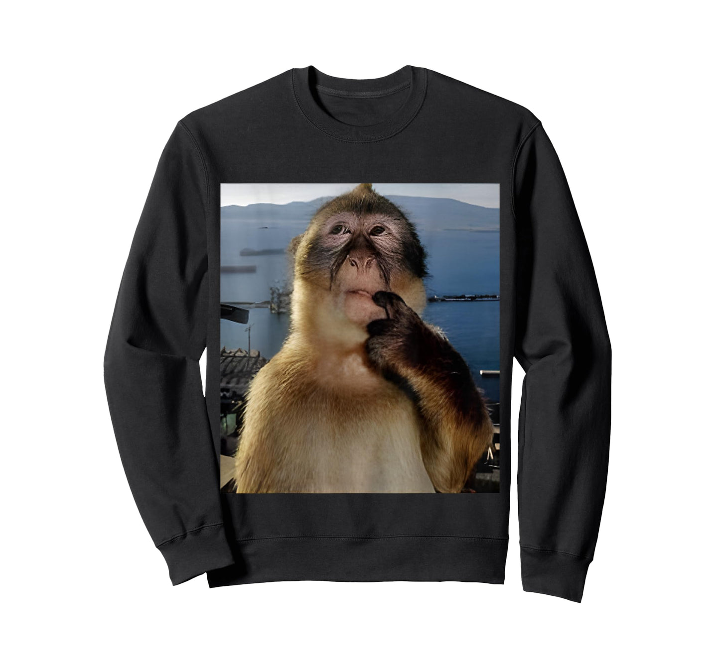 Funny Thinking Monkey Meme T-Shirt Curious Ape Brainrot Gift T-Shirt