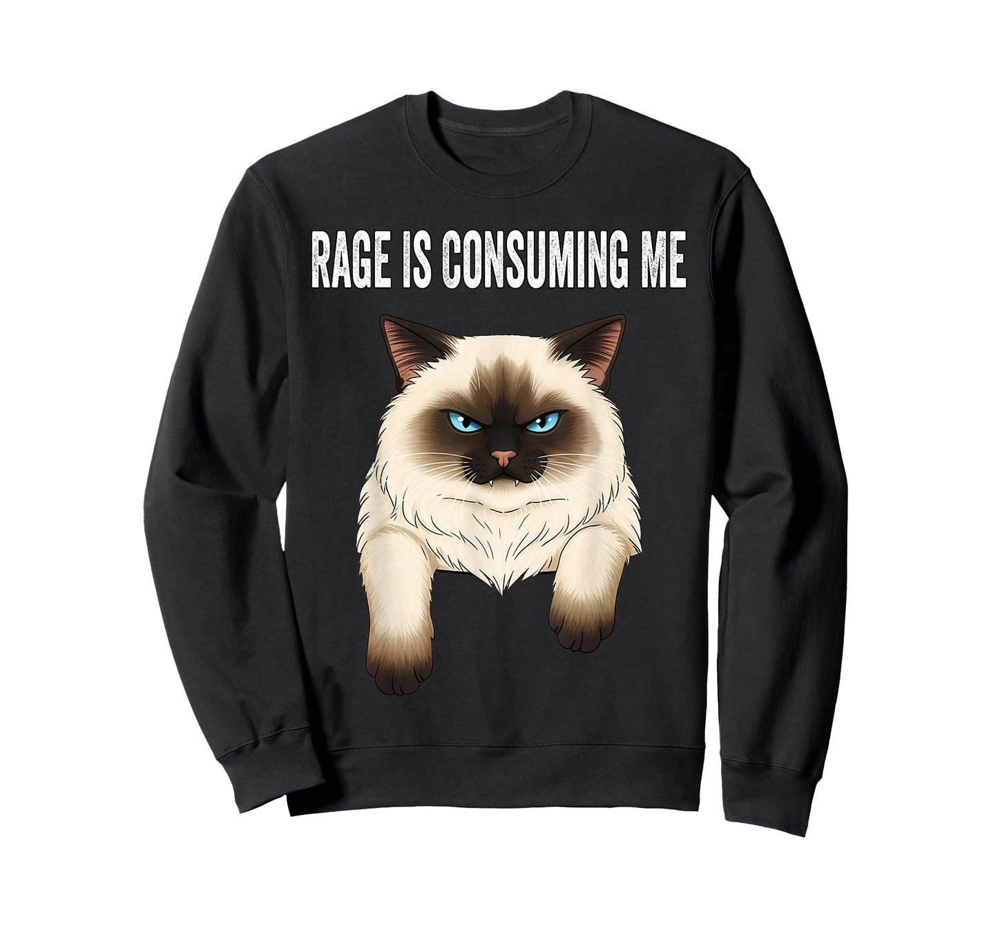 Silly Cat Rage is Consuming Me Silly Cats Funny Cat Meme T-Shirt