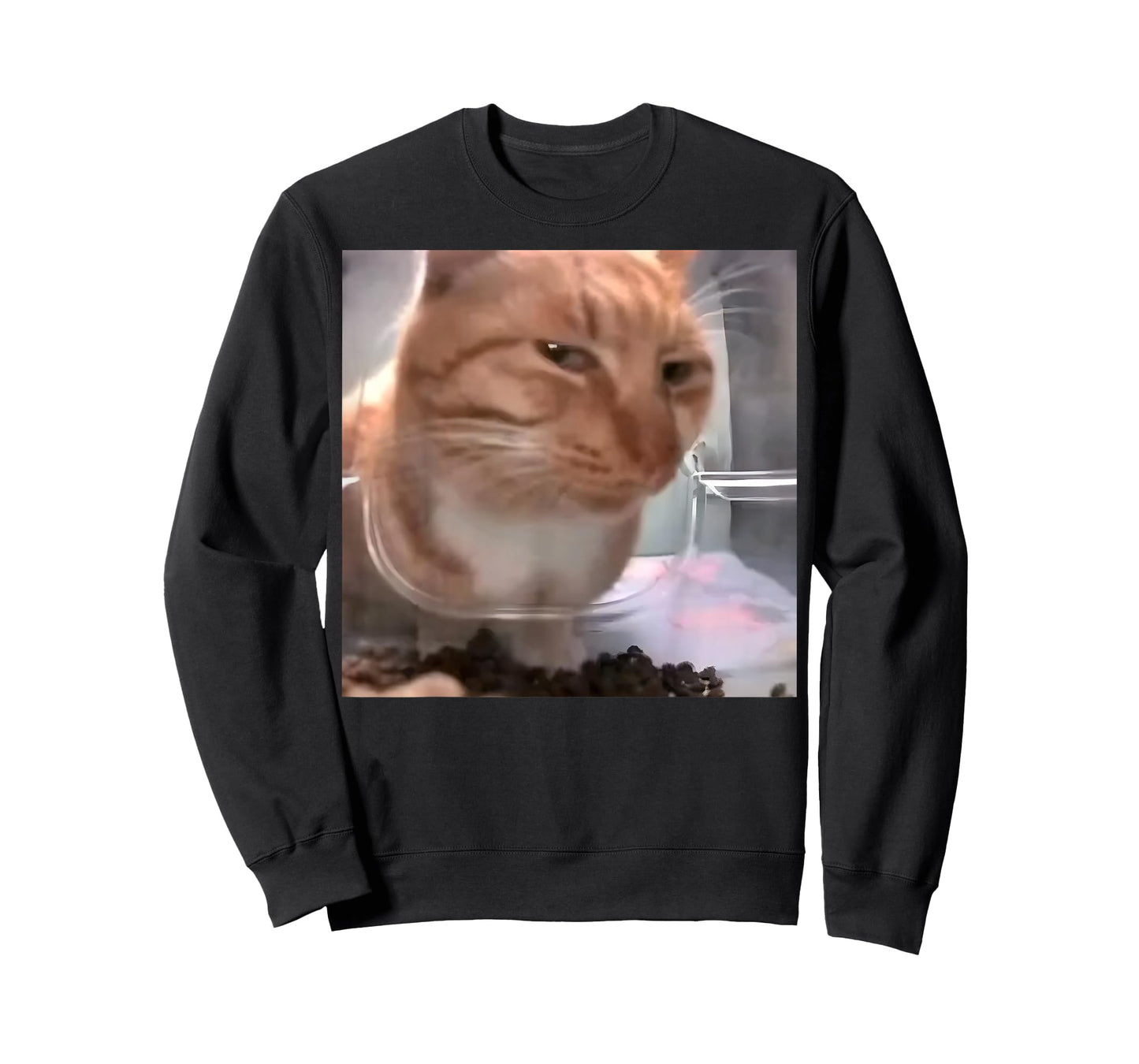 Cat Funny Chill Meme Cat Pet Lover Graphic Gift Men Women T-Shirt