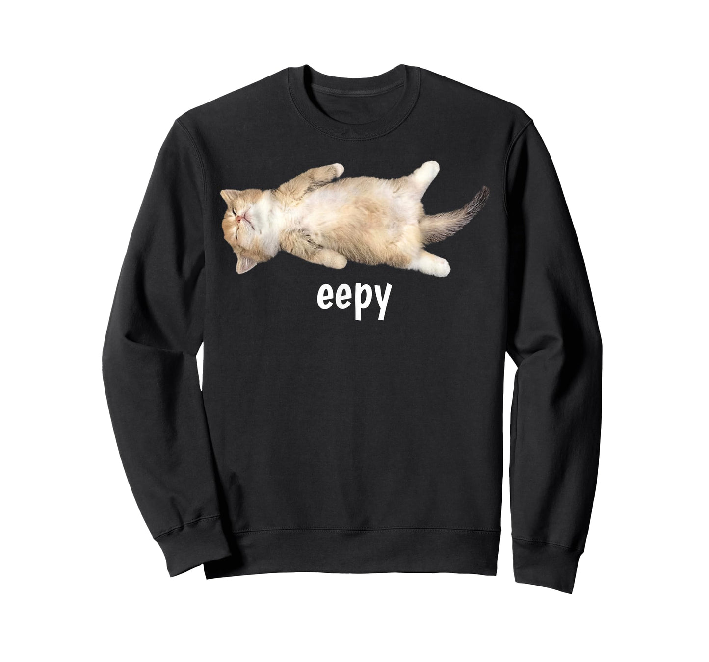 Eepy Cat Meme Funny Sleepy Cat Viral Gen Z Sarcastic Humor T-Shirt