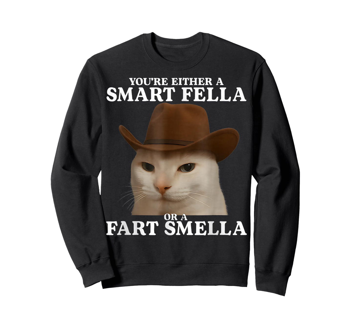 You're Either a Smart Fella or a Fart Smella Funny Cat Meme T-Shirt